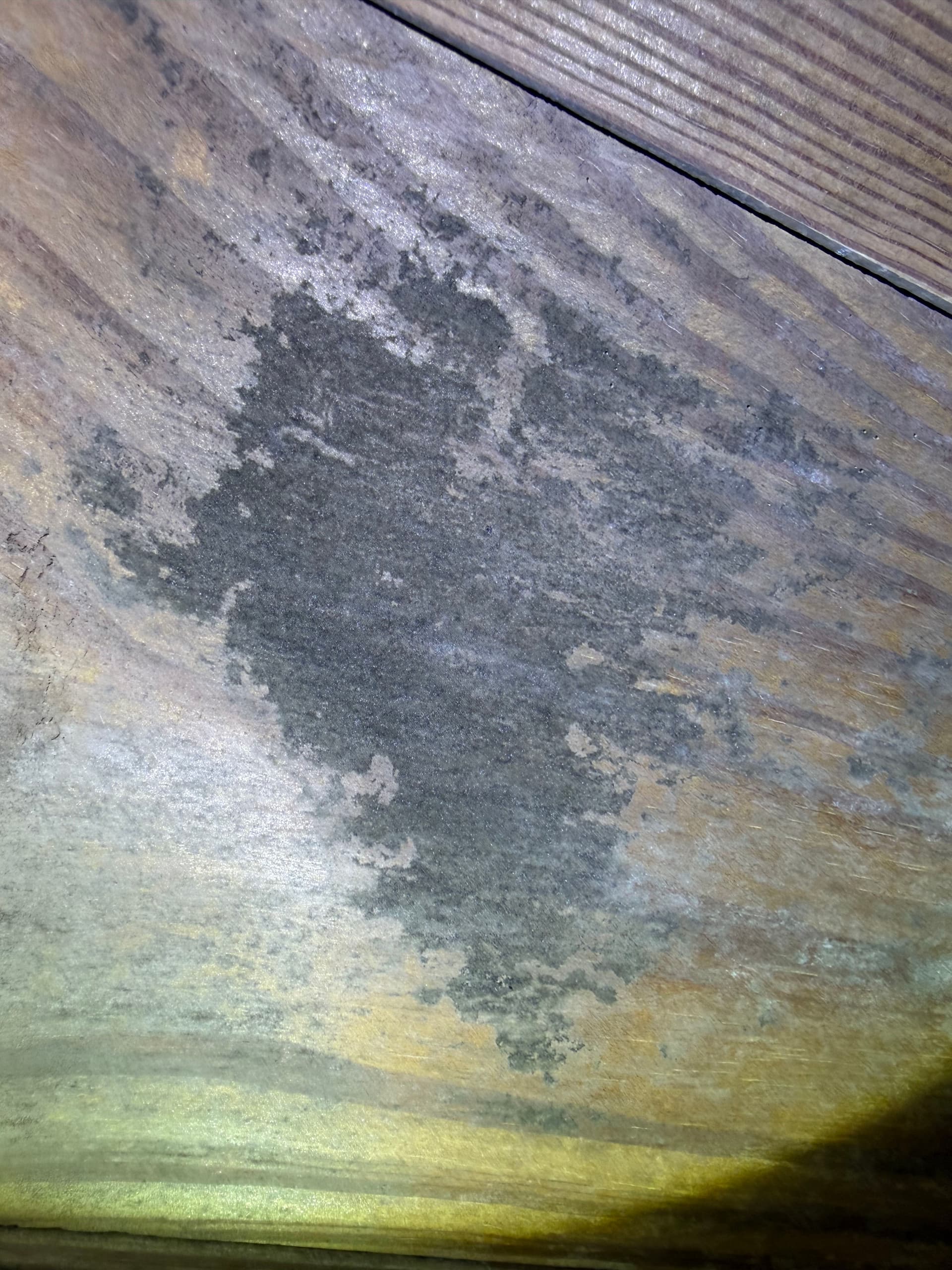 Gallery photos for Crawl Space Inspection Finds Moisture and Fungus in West Pensacola: Image #4