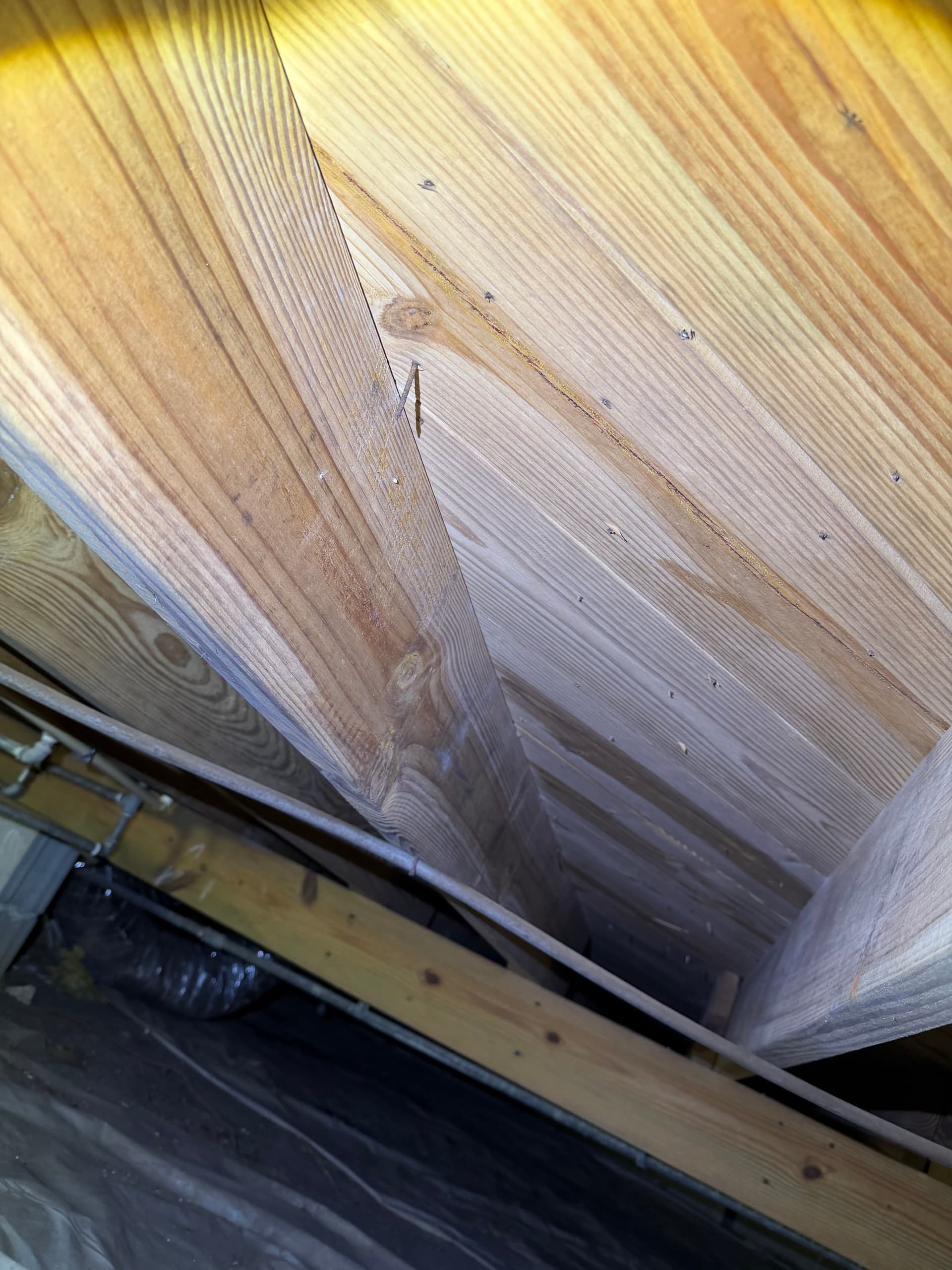 Gallery photos for Crawl Space Inspection Finds Moisture and Fungus in West Pensacola: Image #1