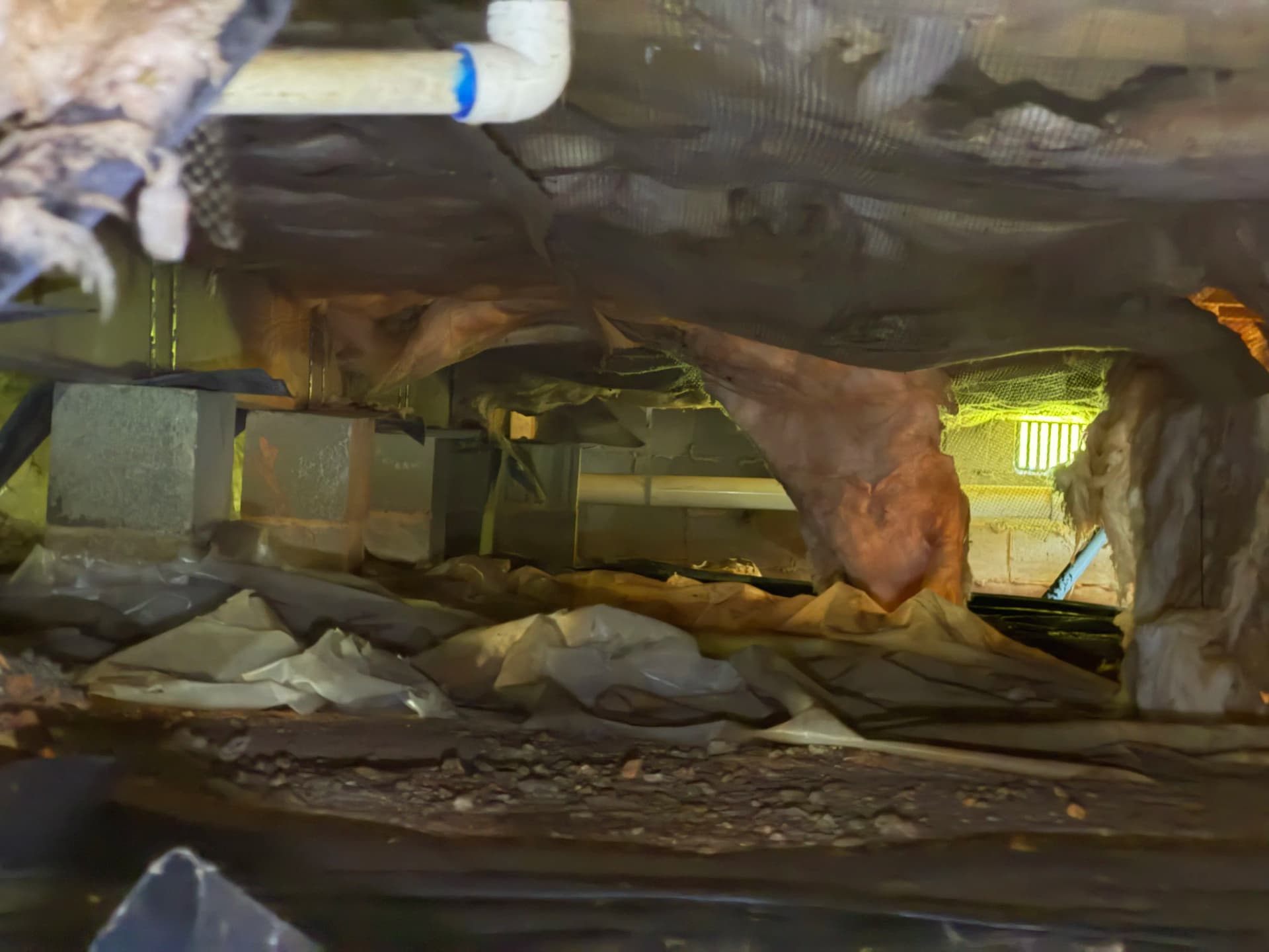 Gallery photos for Crawl Space Encapsulation Done Right in Long Beach Mississippi: Image #3