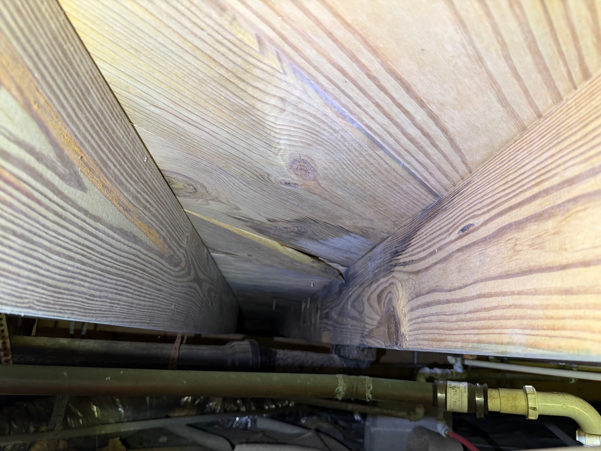 Gallery photos for Crawl Space Inspection Finds Moisture and Fungus in West Pensacola: Image #6