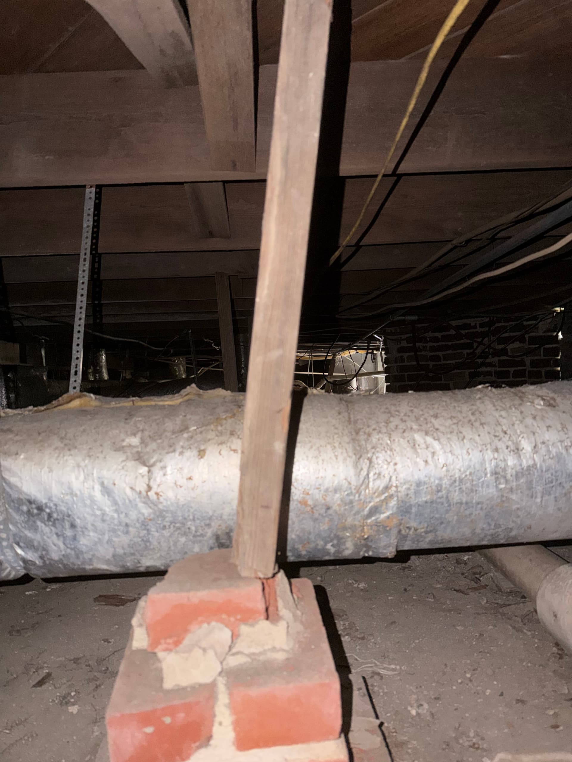 Gallery photos for Inspections Uncover Crawl Space Issues in AL and FL: Image #4