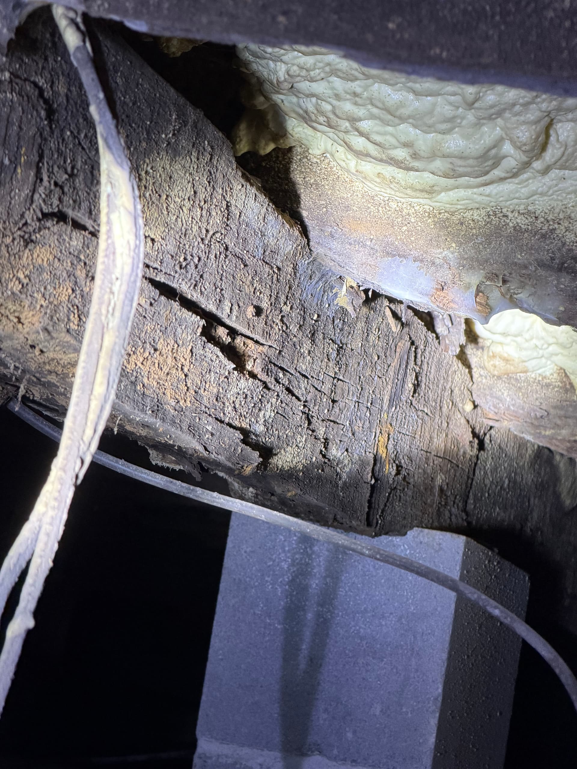 Gallery photos for The Dangers of Improper Crawl Space Insulation: Image #9