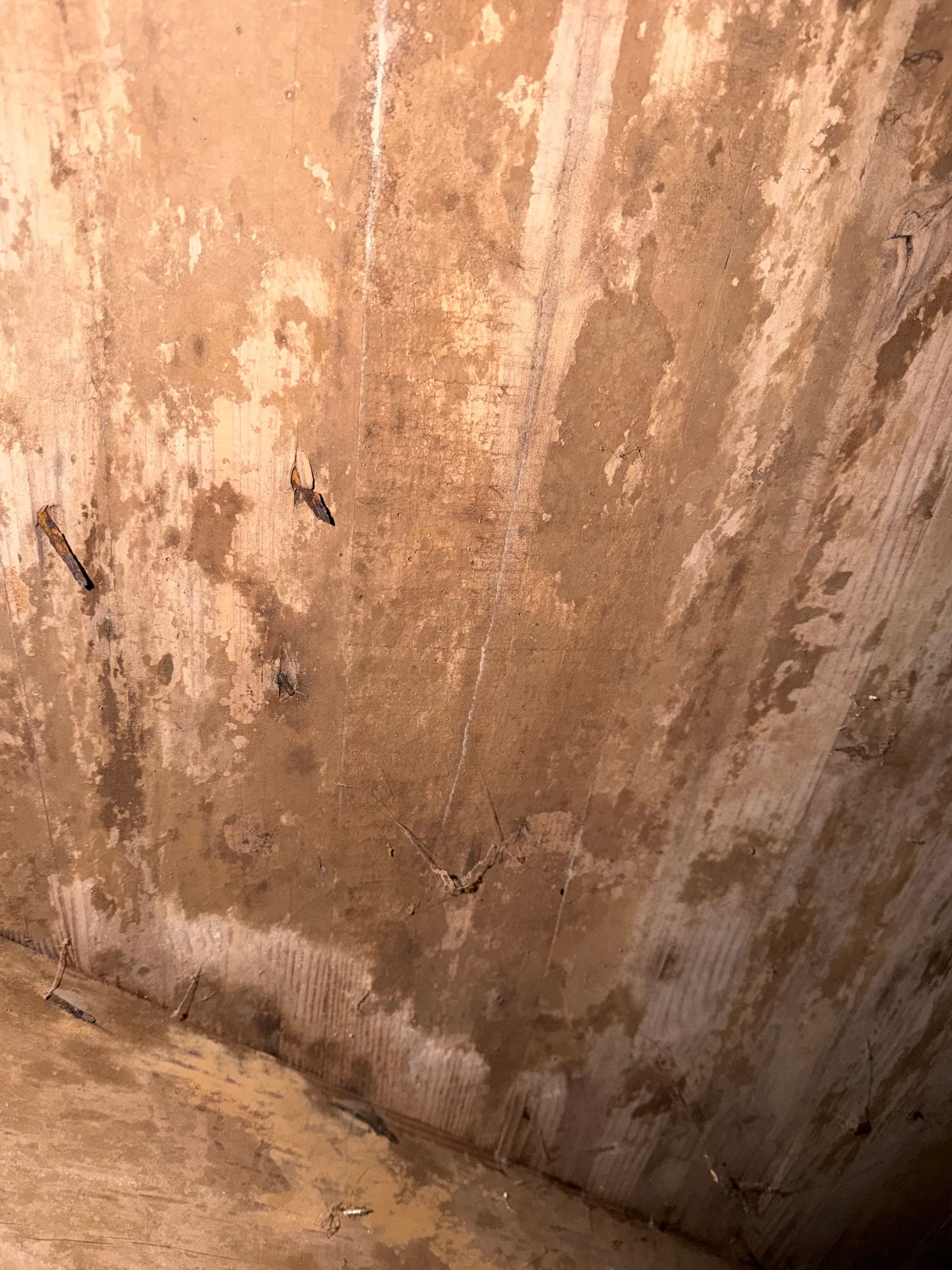 Gallery photos for Crawl Space Inspection Uncovers Major Issues in Irvington Alabama: Image #1