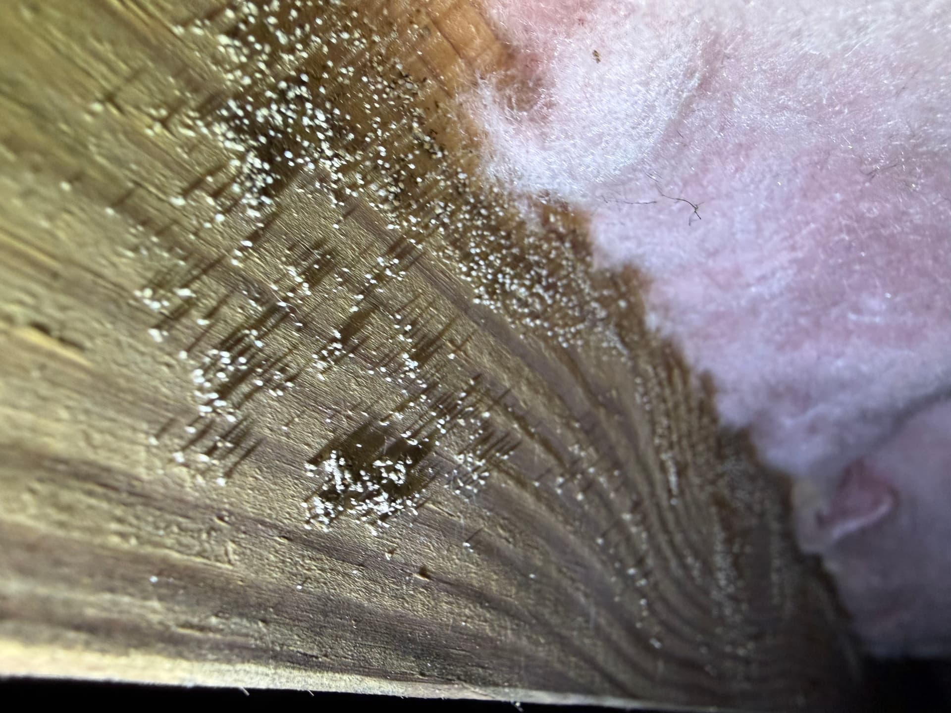 Gallery photos for Crawl Space Assessments Across Tallahassee and Milton: Image #7