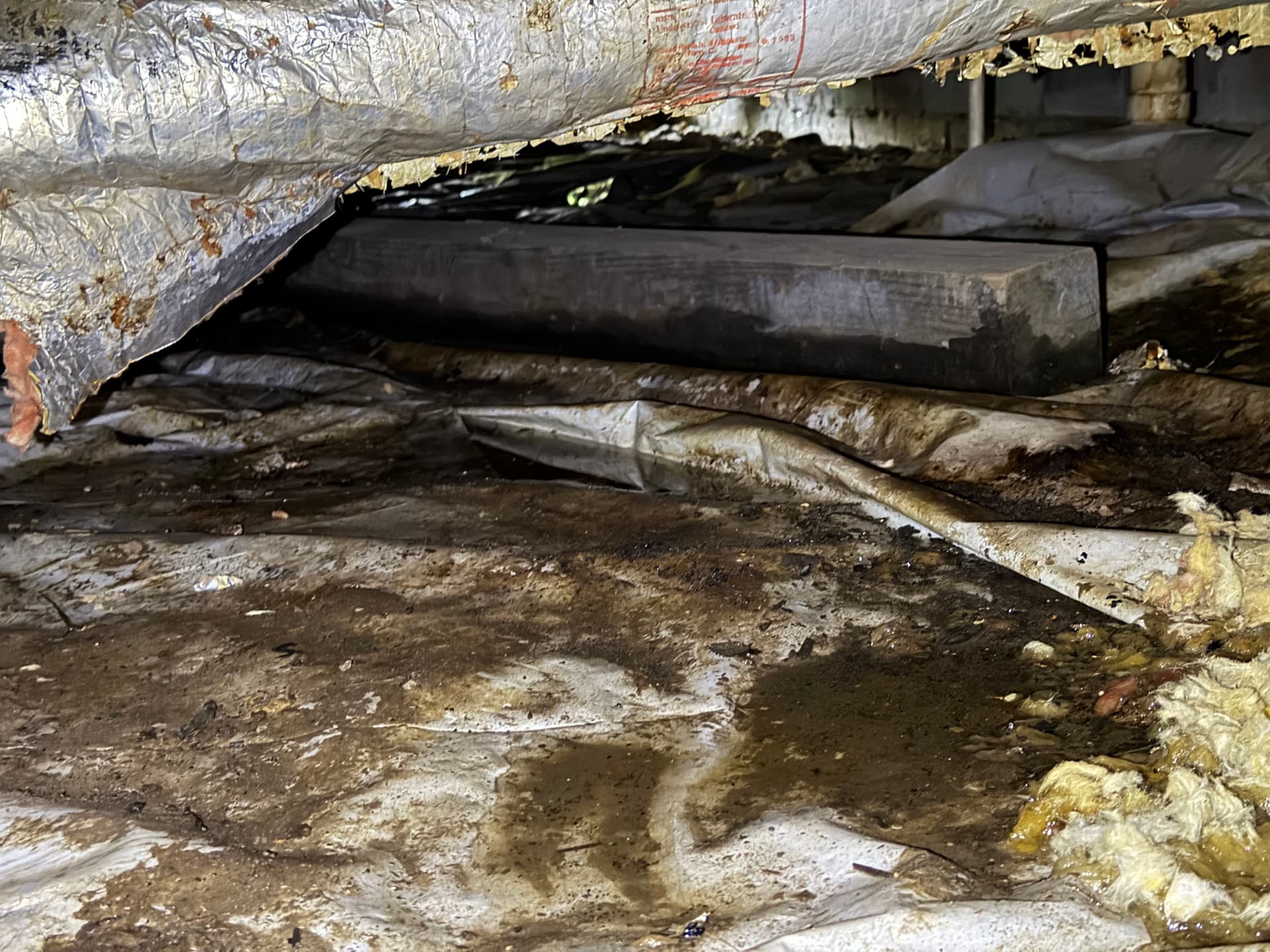 Gallery photos for What a Crawl Space Inspection Found in Monroeville and Loxley: Image #3