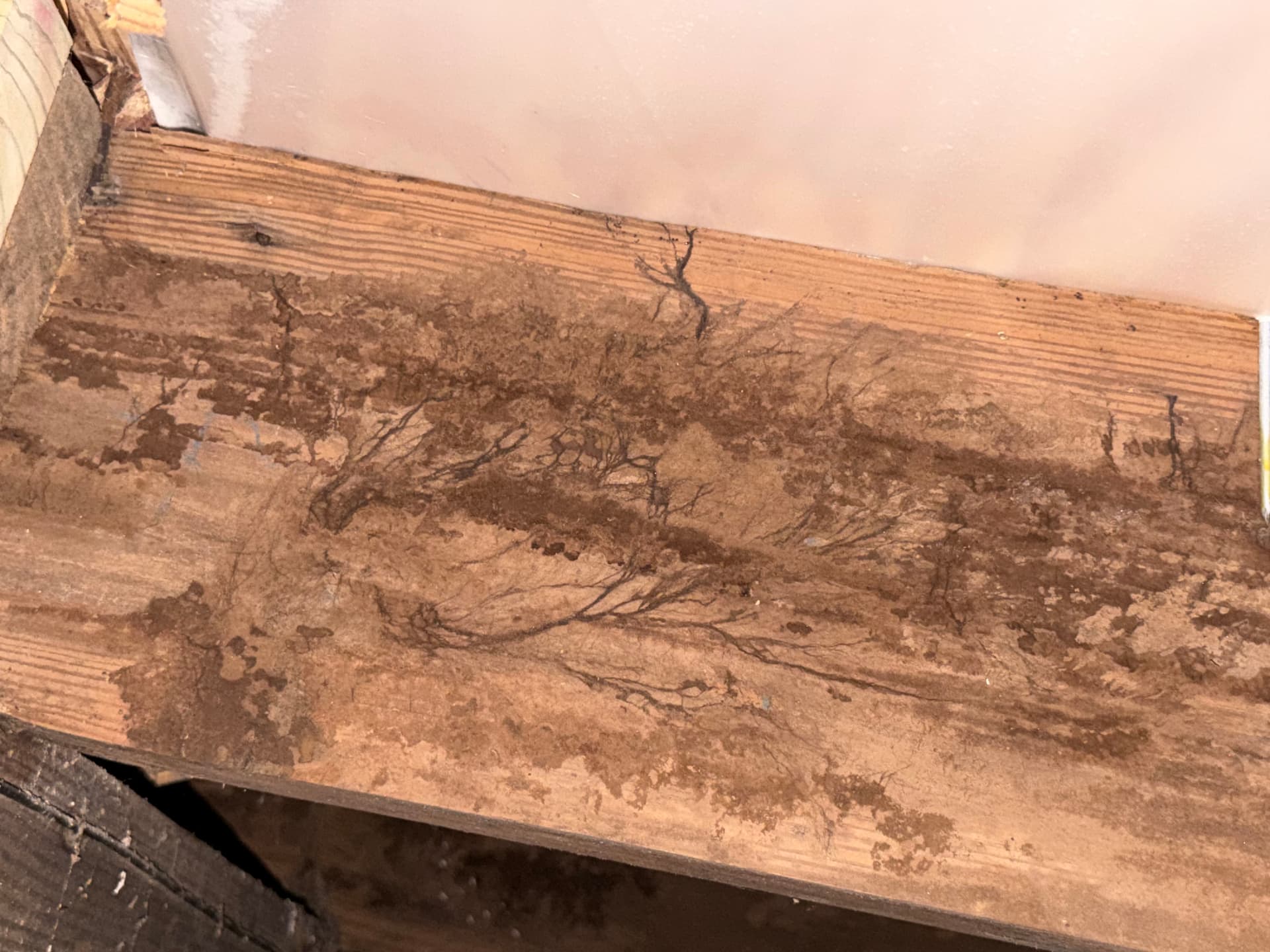 Gallery photos for Crawl Space Inspection Uncovers Major Issues in Irvington Alabama: Image #8