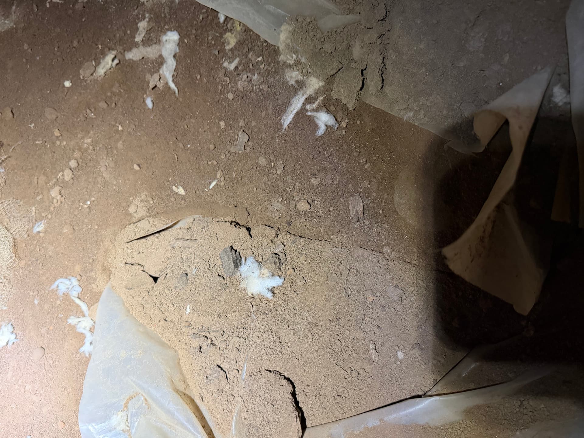 Gallery photos for Crawl Space Inspection in Montgomery: Image #6