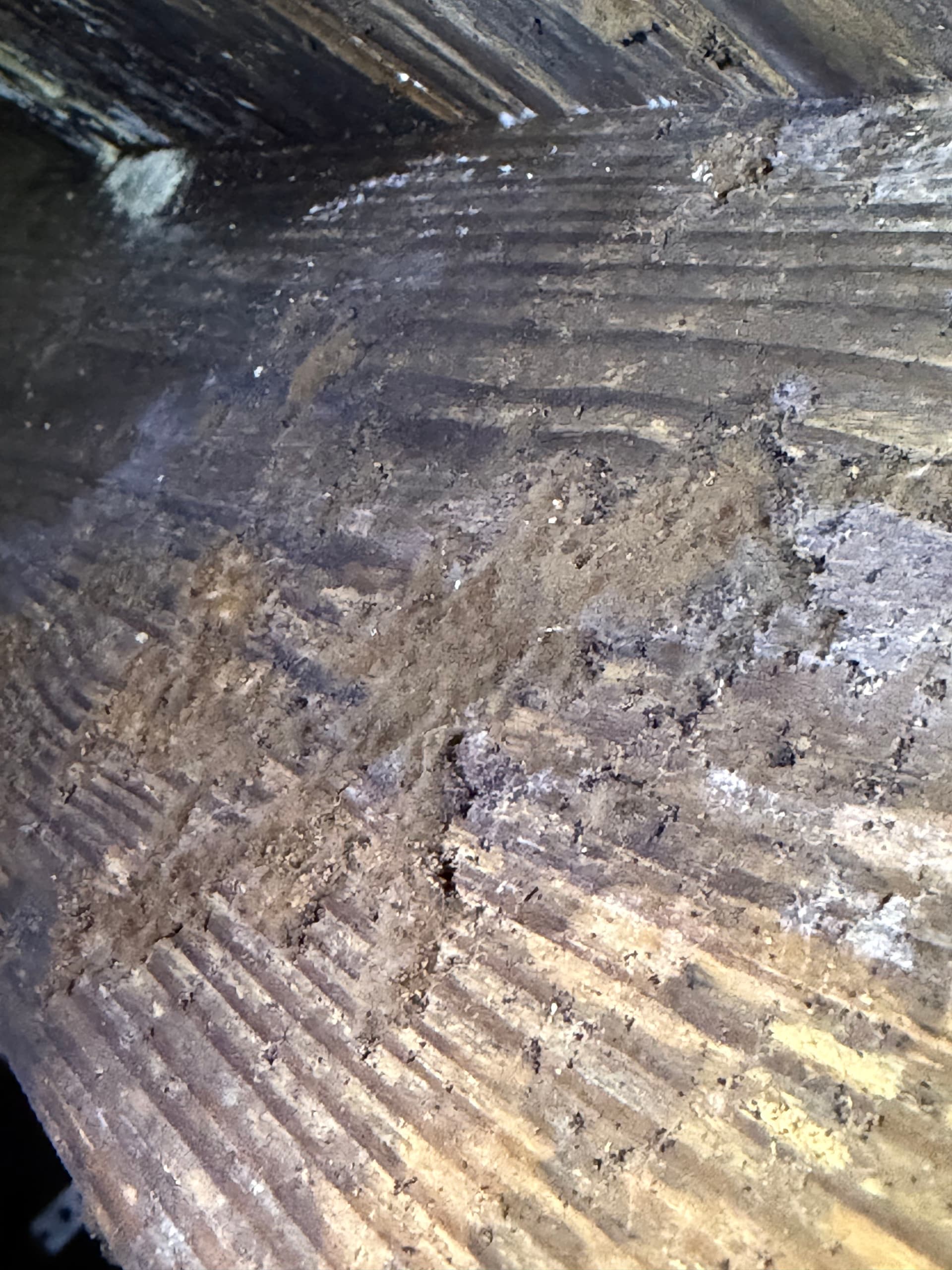 Gallery photos for Nearly 400 Miles Across the Gulf Coast Finding Crawl Space Problems: Image #6
