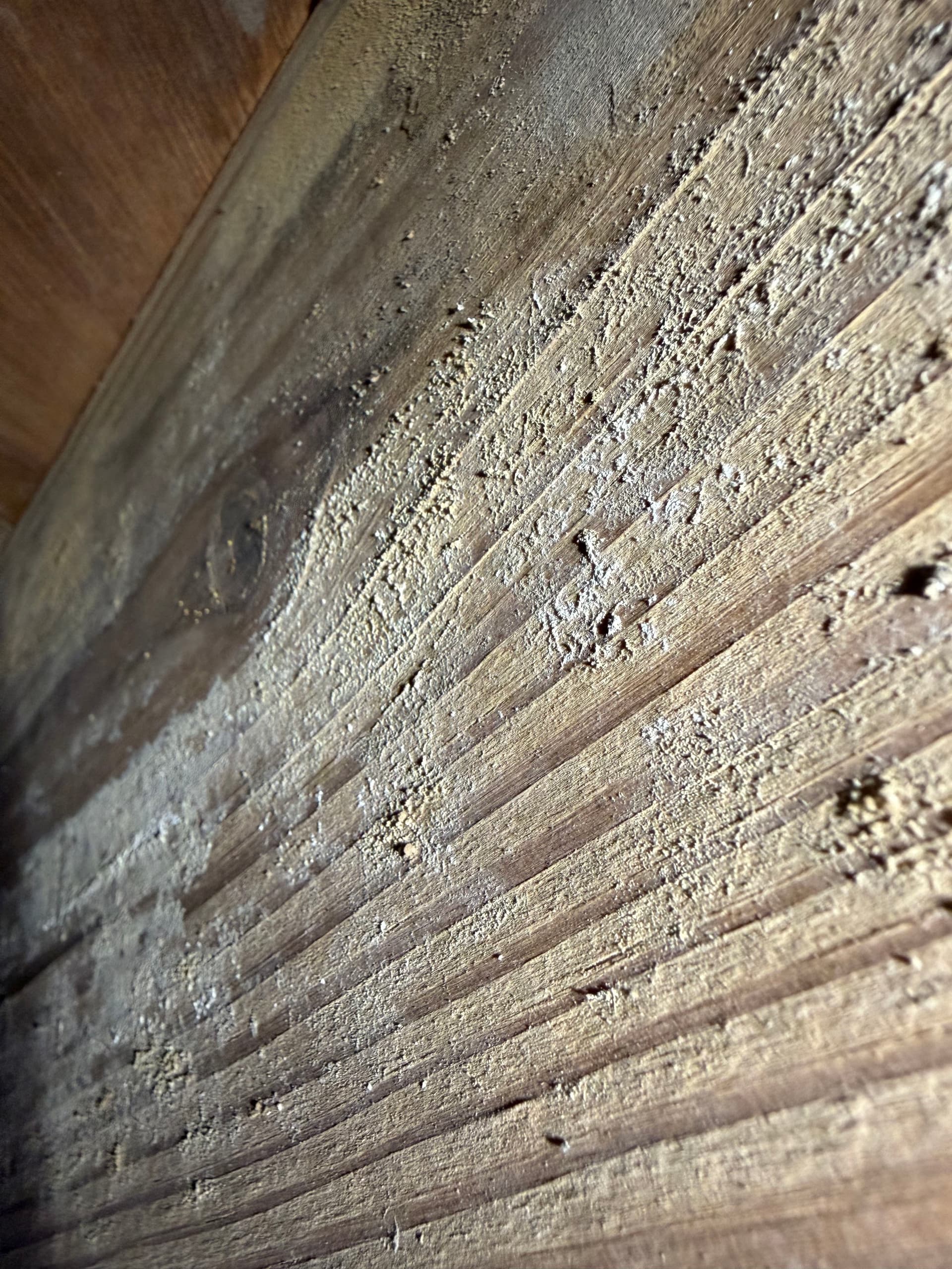 Gallery photos for Milton Home Crawl Space Inspection and Repair: Image #1