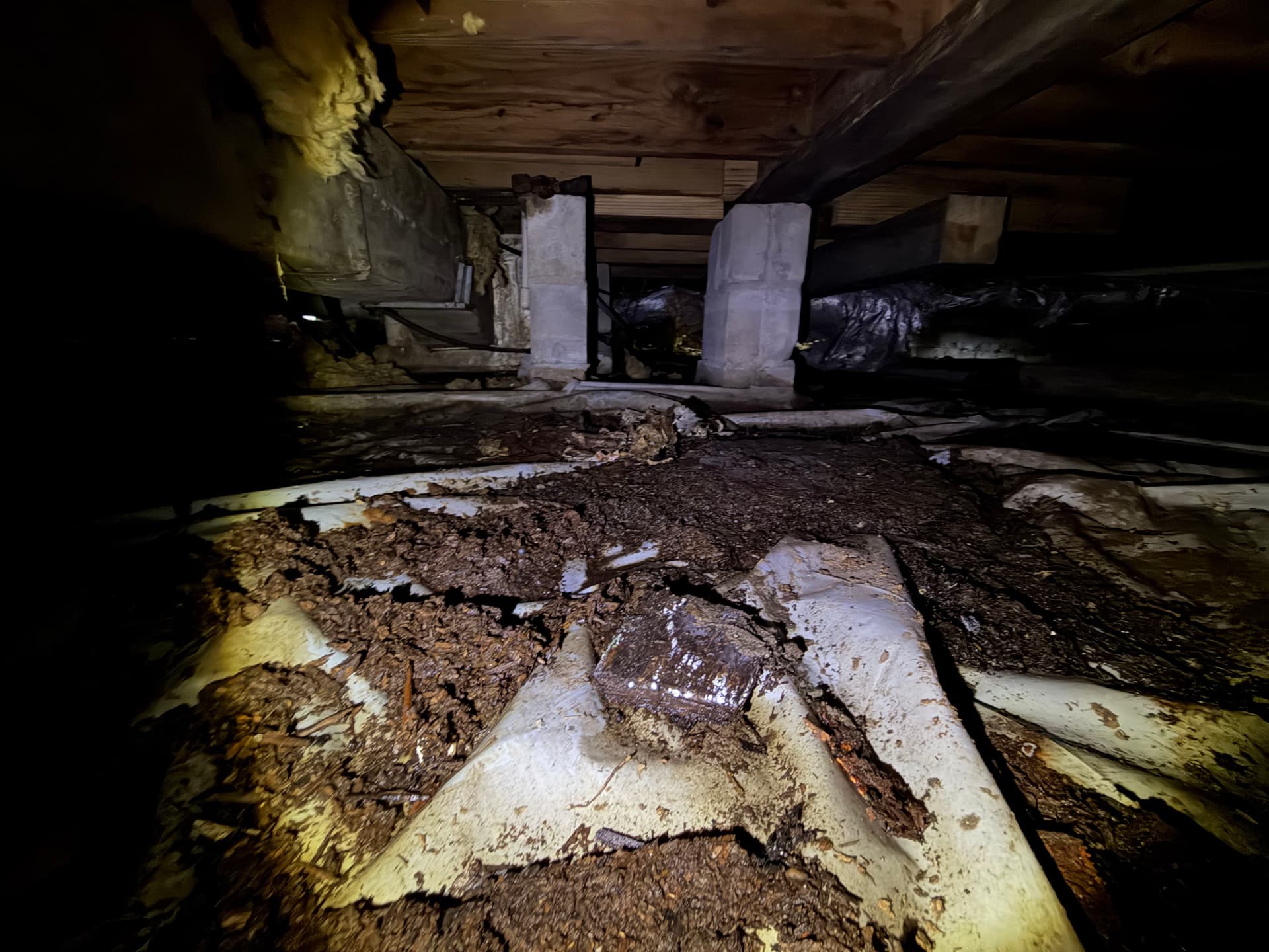 Gallery photos for What a Crawl Space Inspection Found in Monroeville and Loxley: Image #4