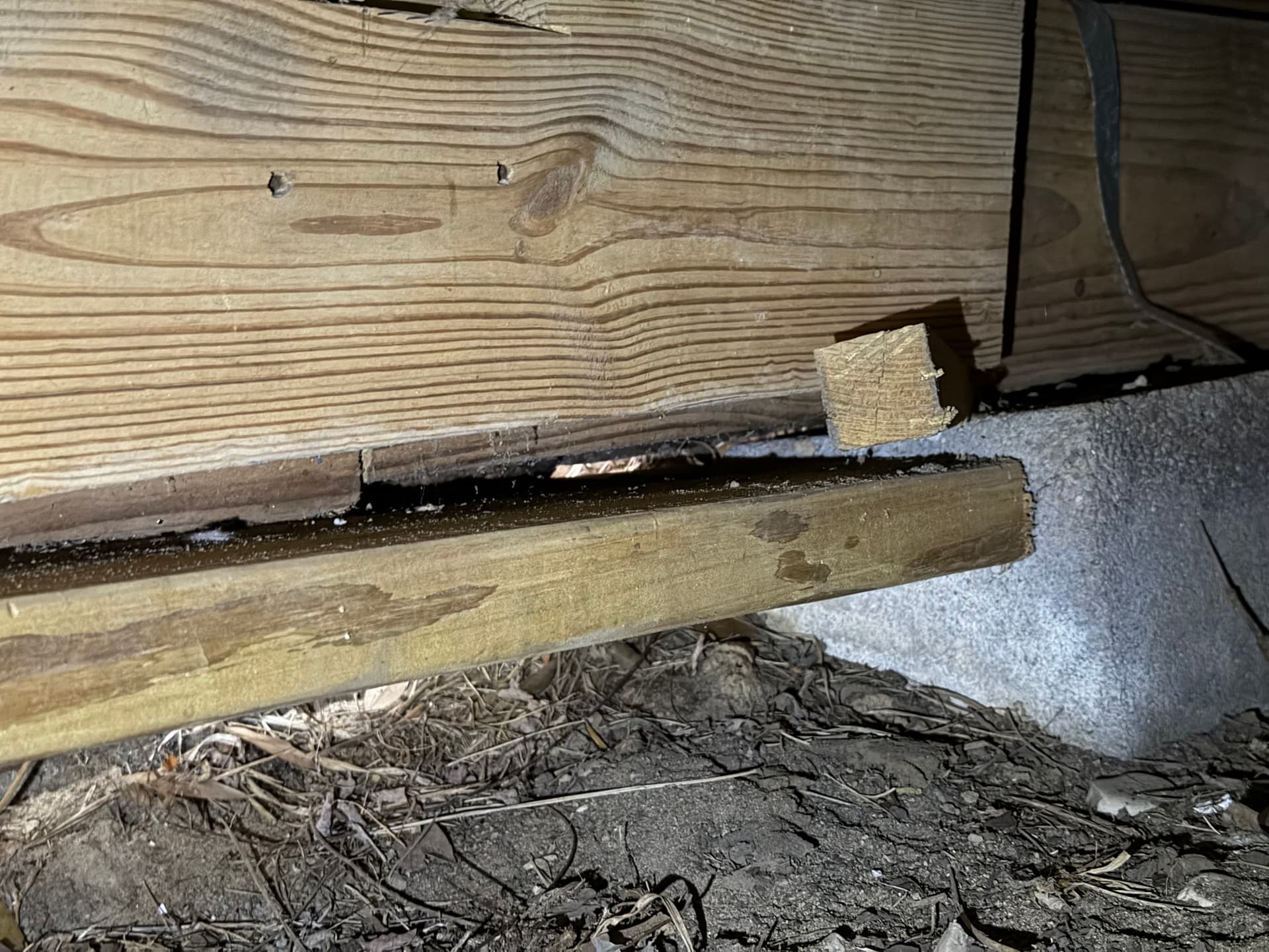 Gallery photos for Uncovering Crawl Space Challenges in Pensacola: Image #1