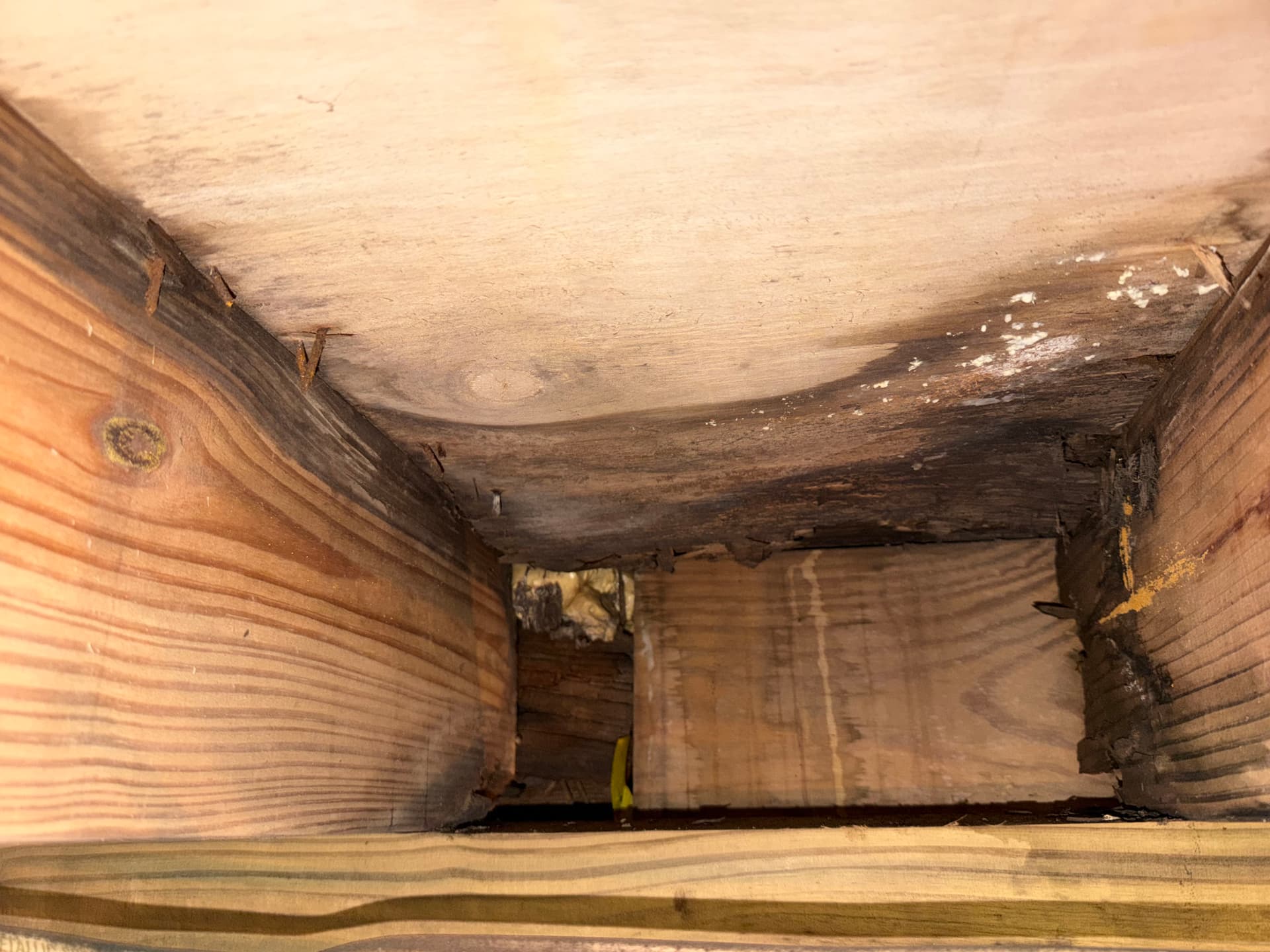 Gallery photos for Mobile AL Crawl Space Assessment Reveals Serious Hidden Damage: Image #7
