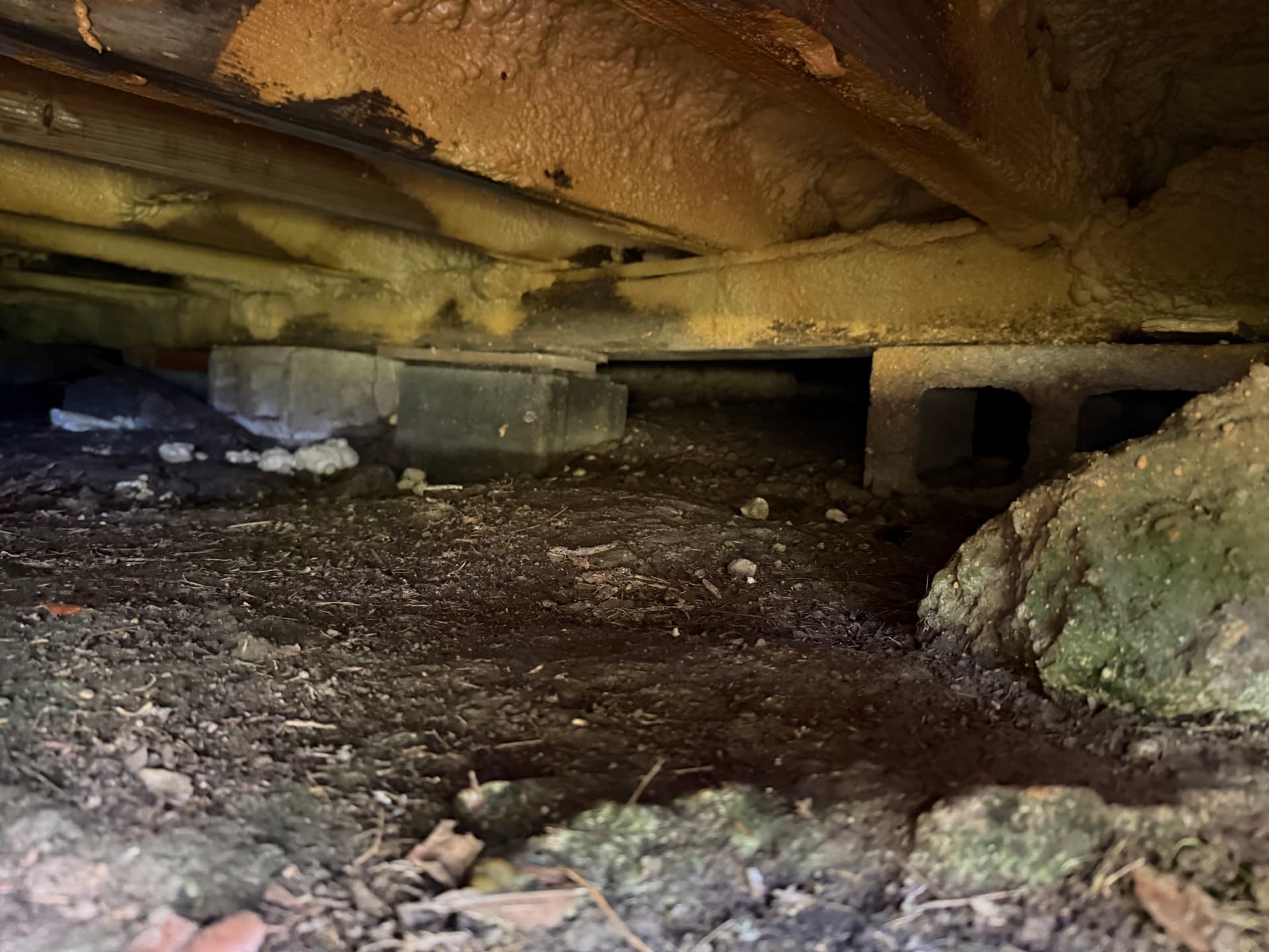 Gallery photos for Nearly 400 Miles Across the Gulf Coast Finding Crawl Space Problems: Image #2