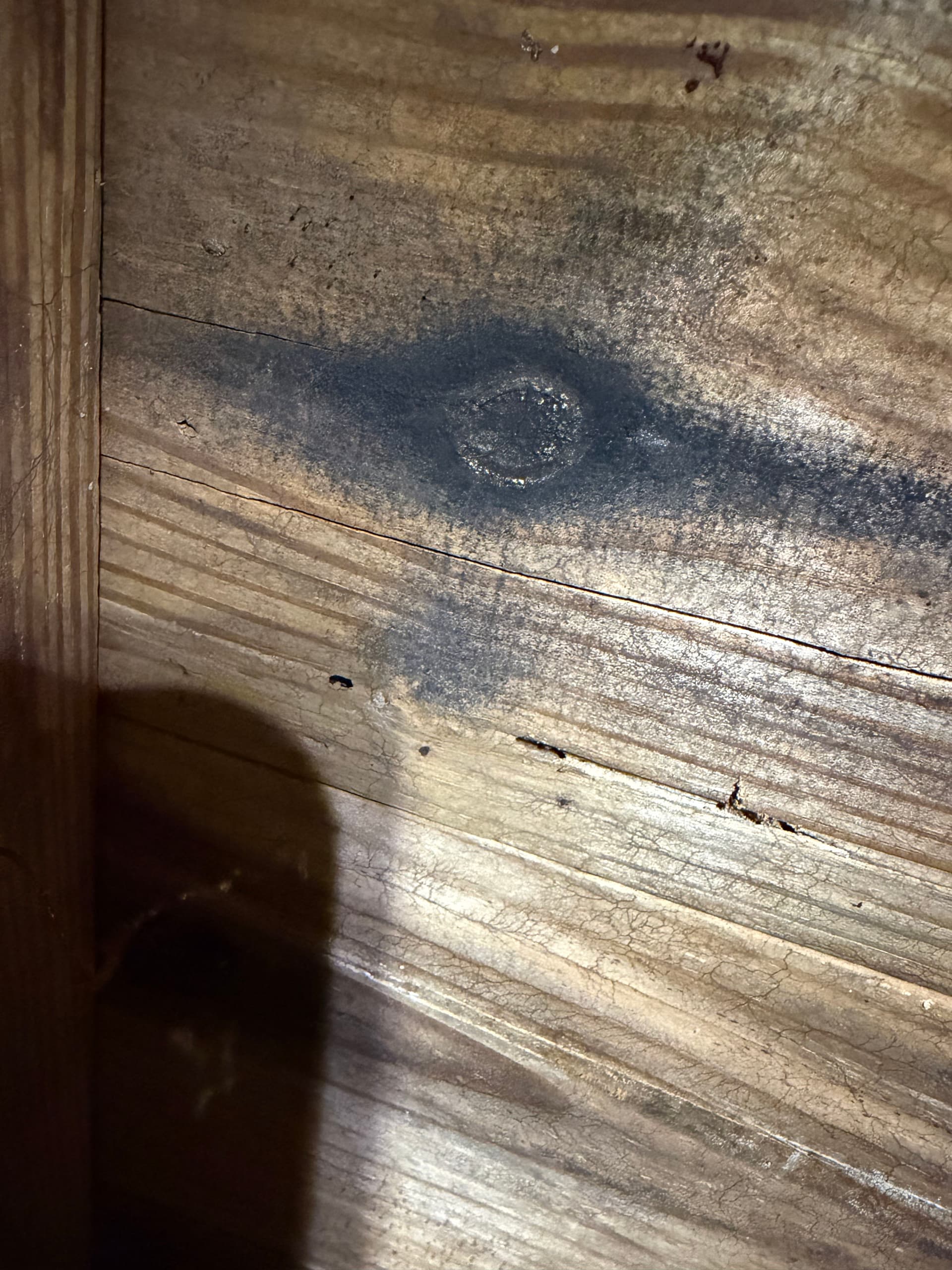 Gallery photos for Milton Home Crawl Space Inspection and Repair: Image #7