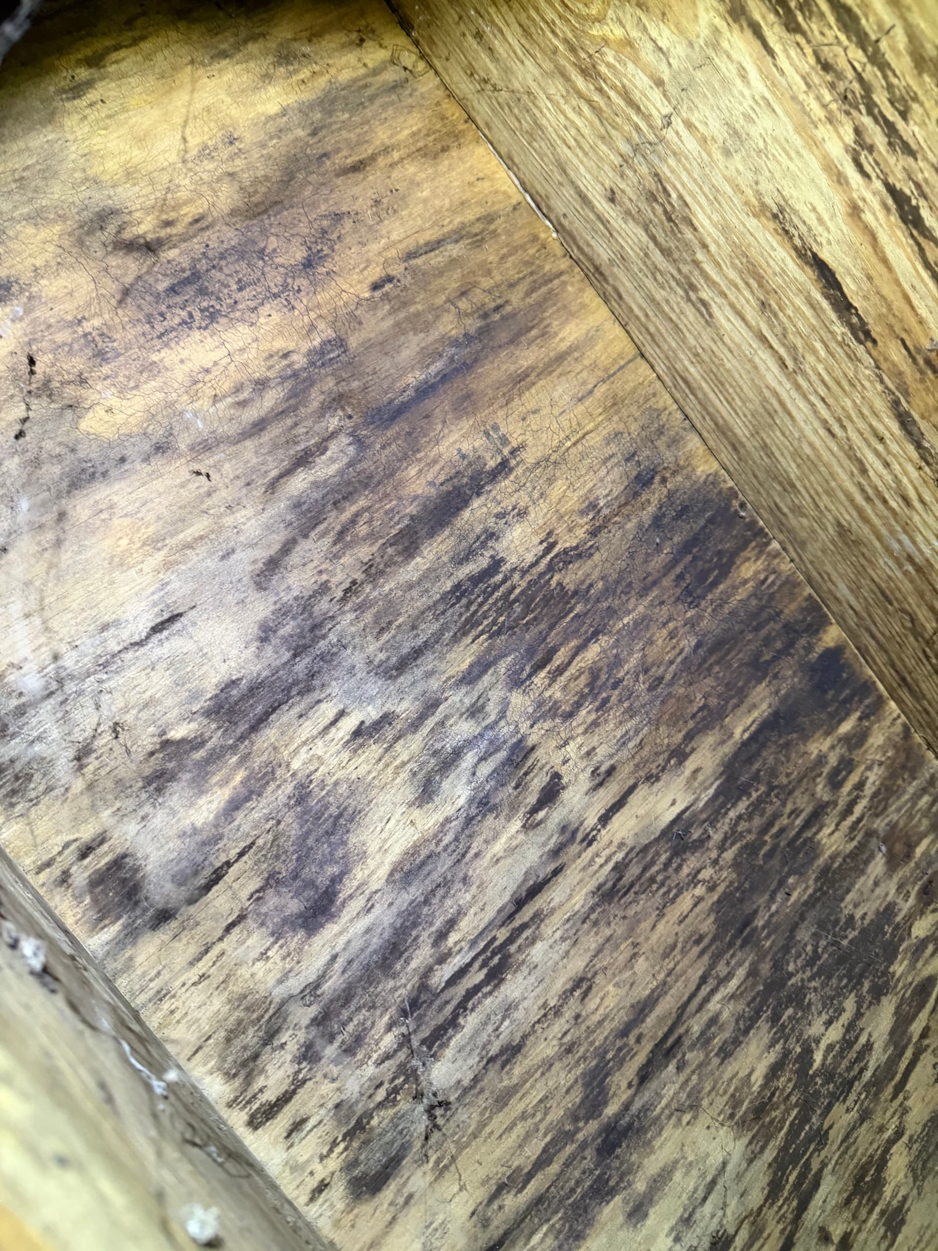 Gallery photos for What a Crawl Space Inspection Found Under a Daphne Home: Image #4