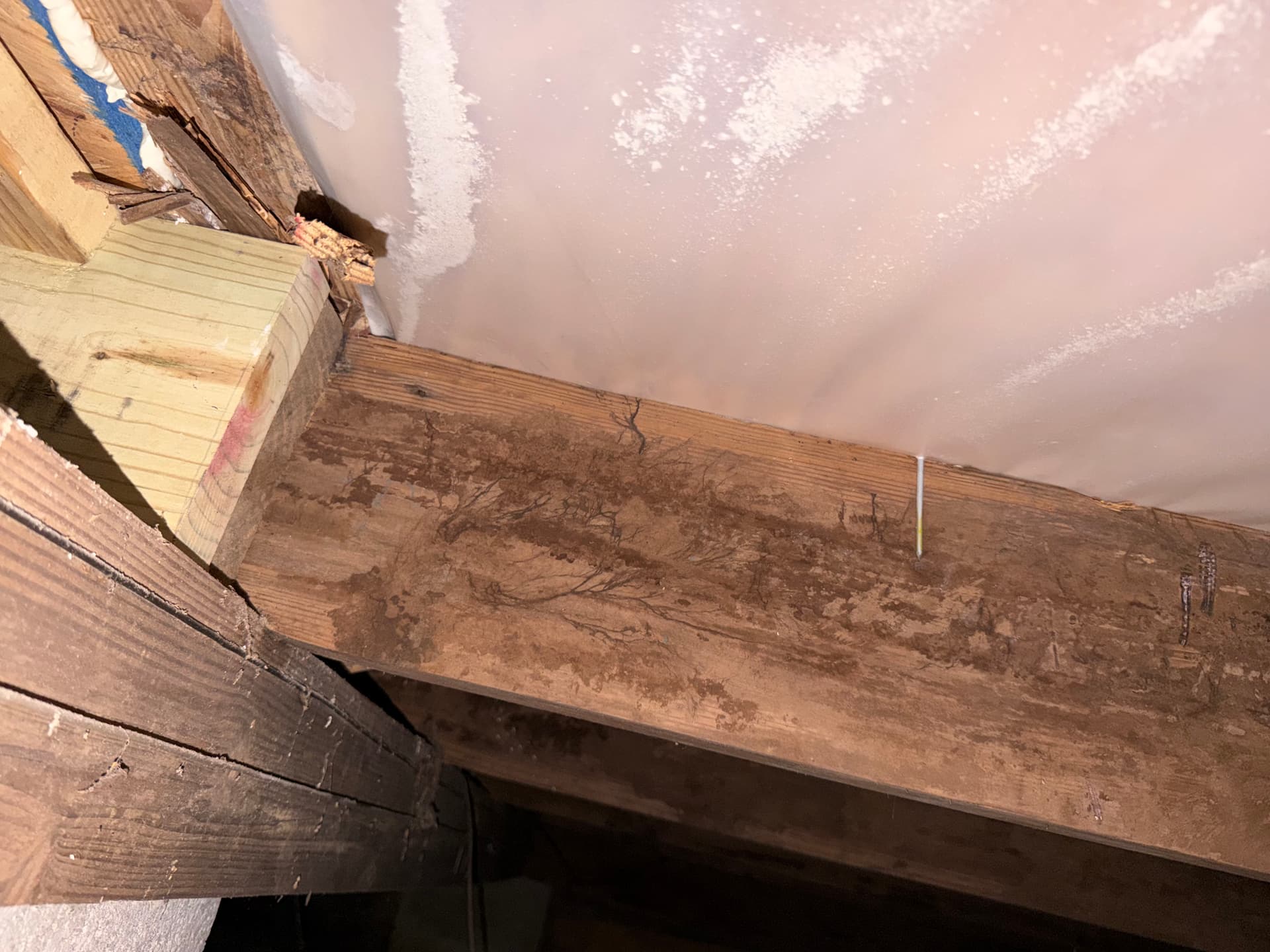 Gallery photos for Crawl Space Inspection Uncovers Major Issues in Irvington Alabama: Image #9