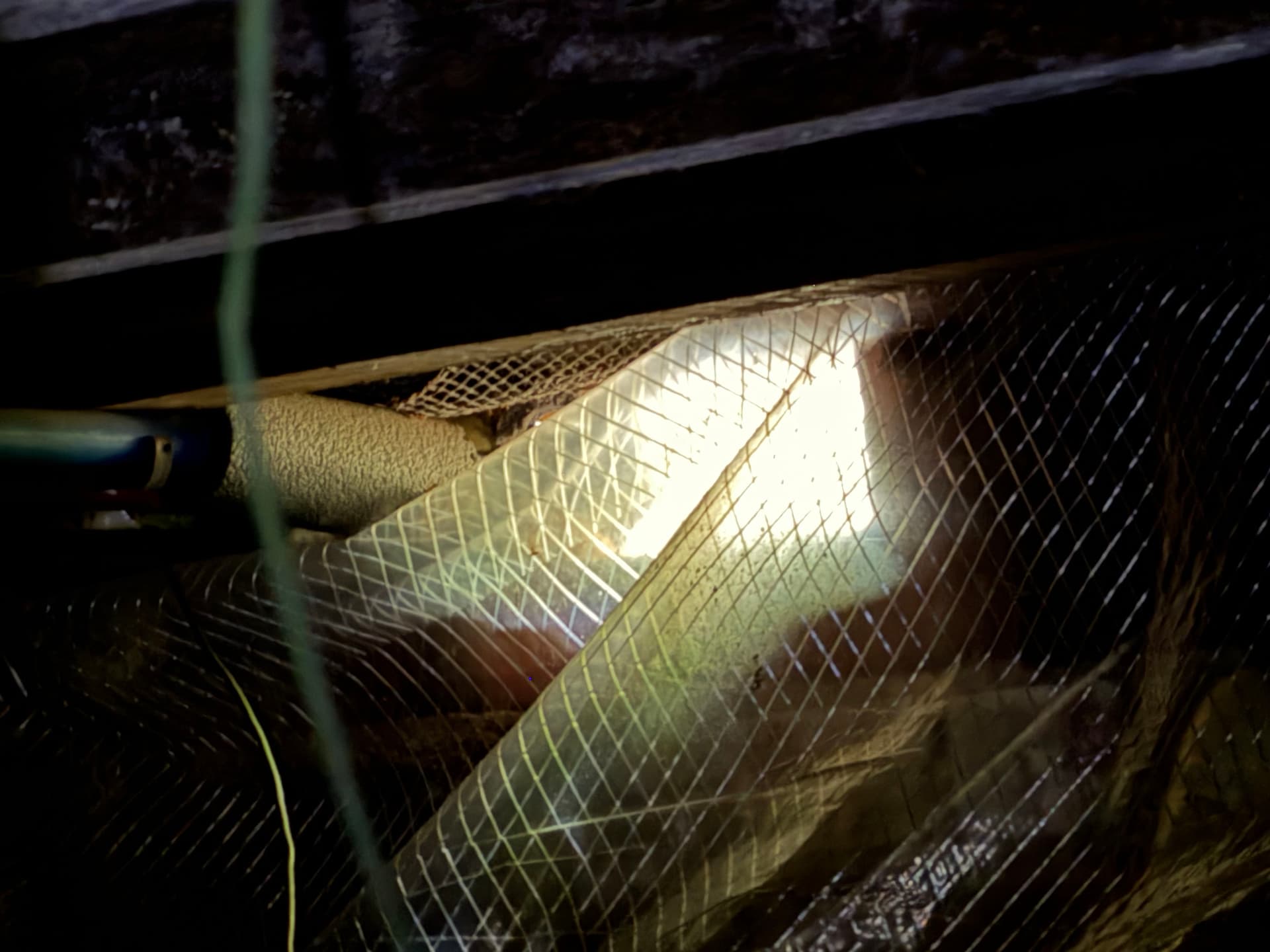 Gallery photos for A Pensacola Crawlspace Encapsulation Done Wrong - Here's the Damage: Image #2