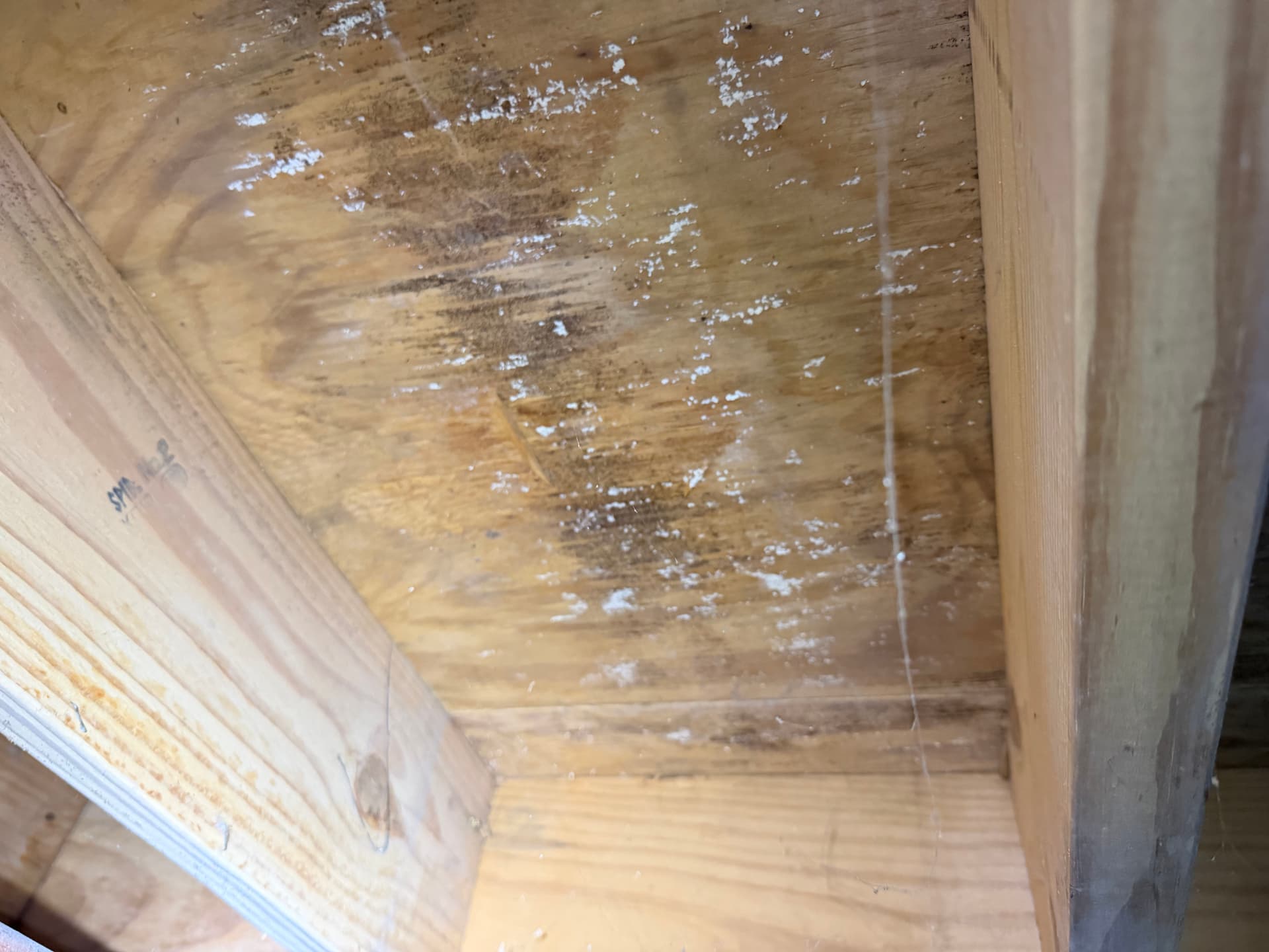 Gallery photos for Crawl Space Inspection in Montgomery: Image #9