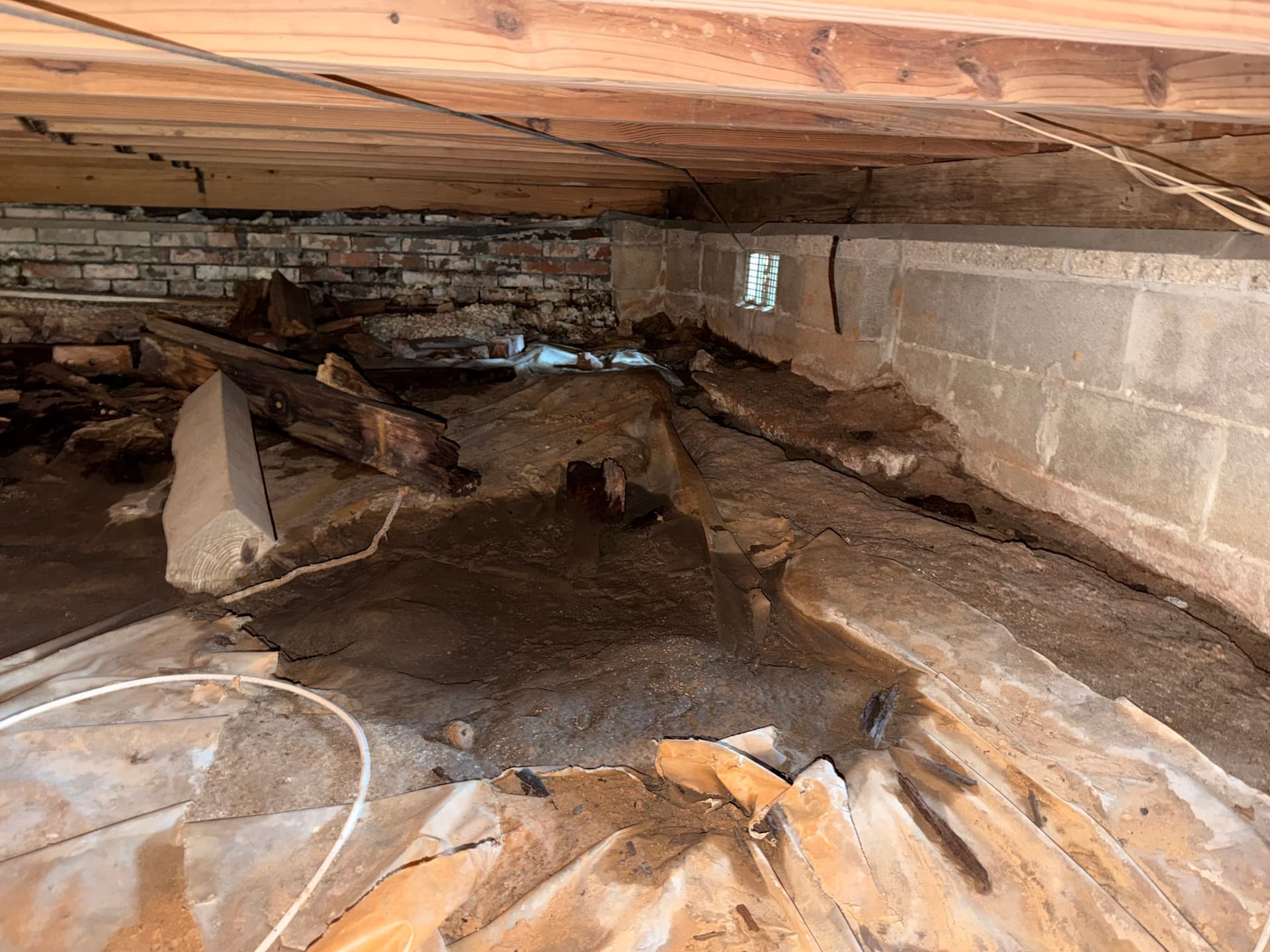 Gallery photos for Mobile AL Crawl Space Assessment Reveals Serious Hidden Damage: Image #5