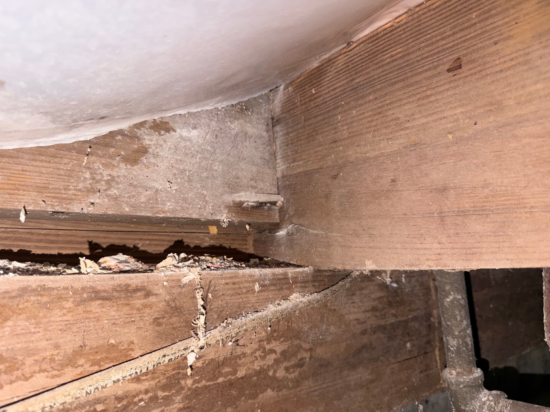 Gallery photos for Crawl Space Inspection Uncovers Major Issues in Irvington Alabama: Image #6