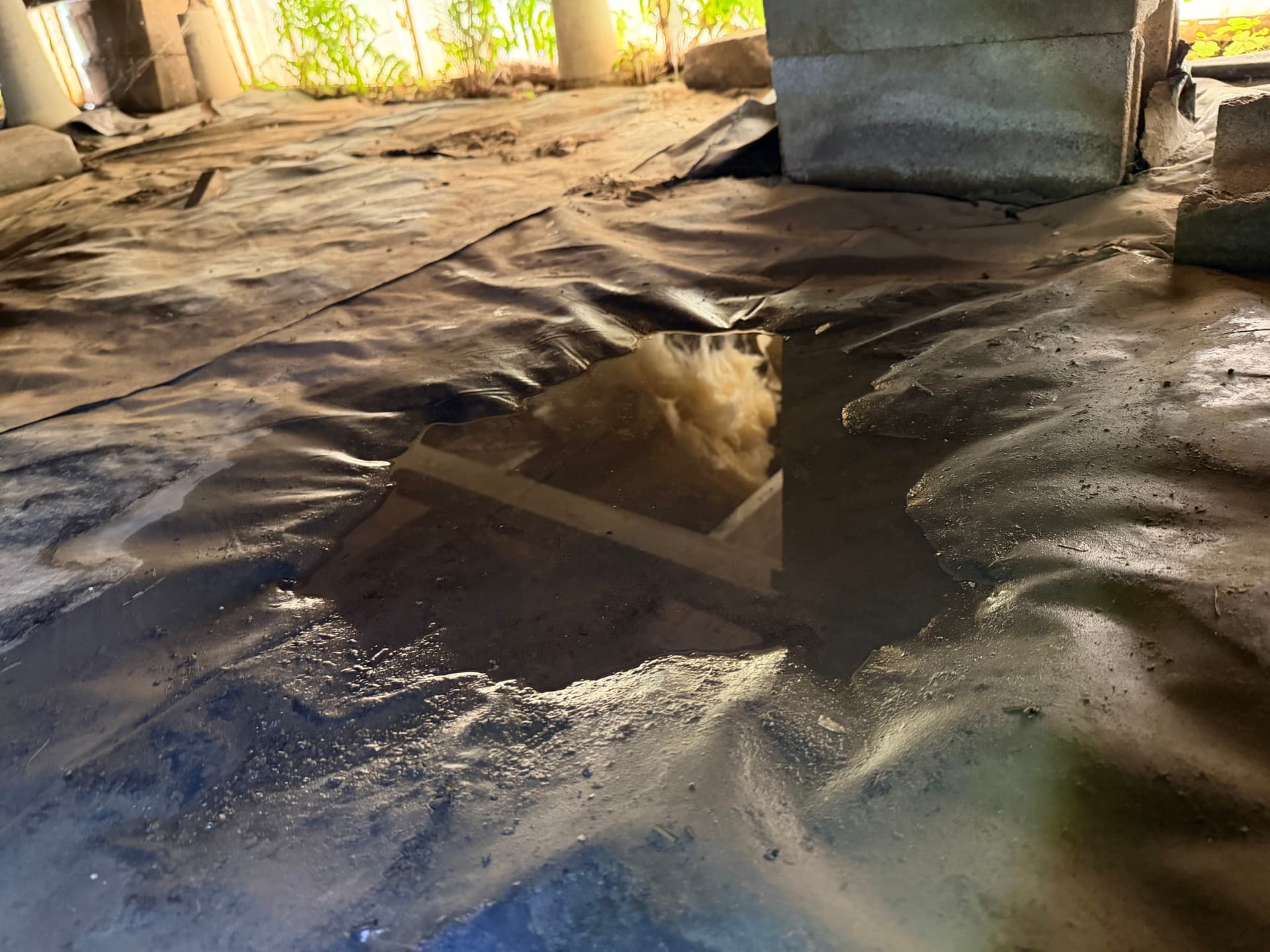 Gallery photos for What a Crawl Space Inspection Found in Monroeville and Loxley: Image #7