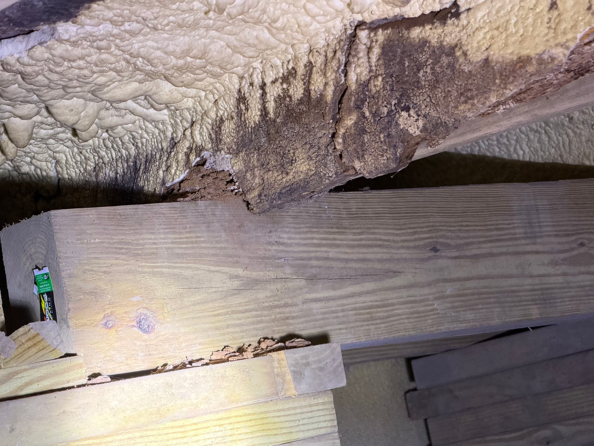 Gallery photos for The Dangers of Improper Crawl Space Insulation: Image #3