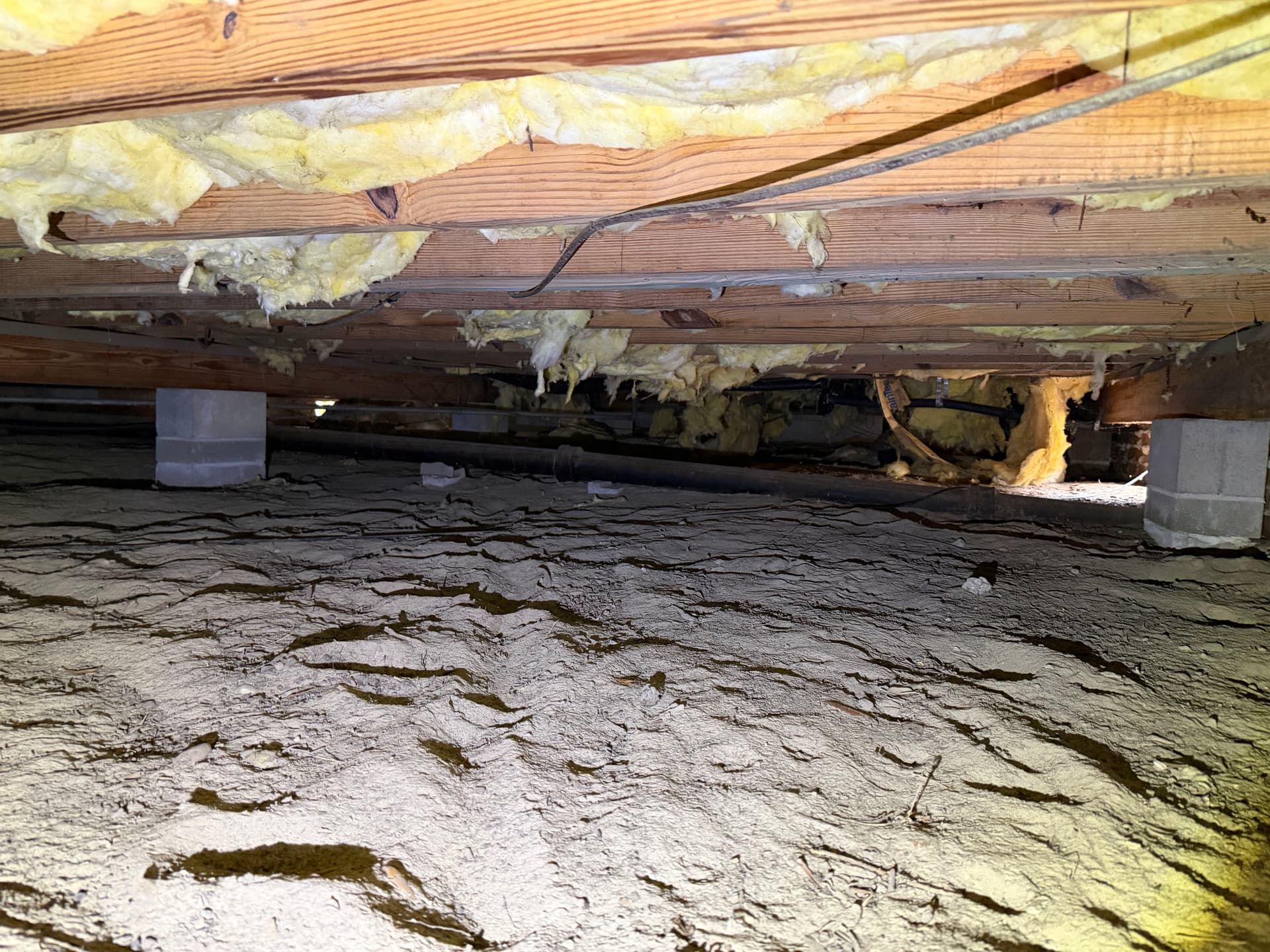 Gallery photos for 5 Crawl Space Assessments Across the Gulf Coast in One Day: Image #3