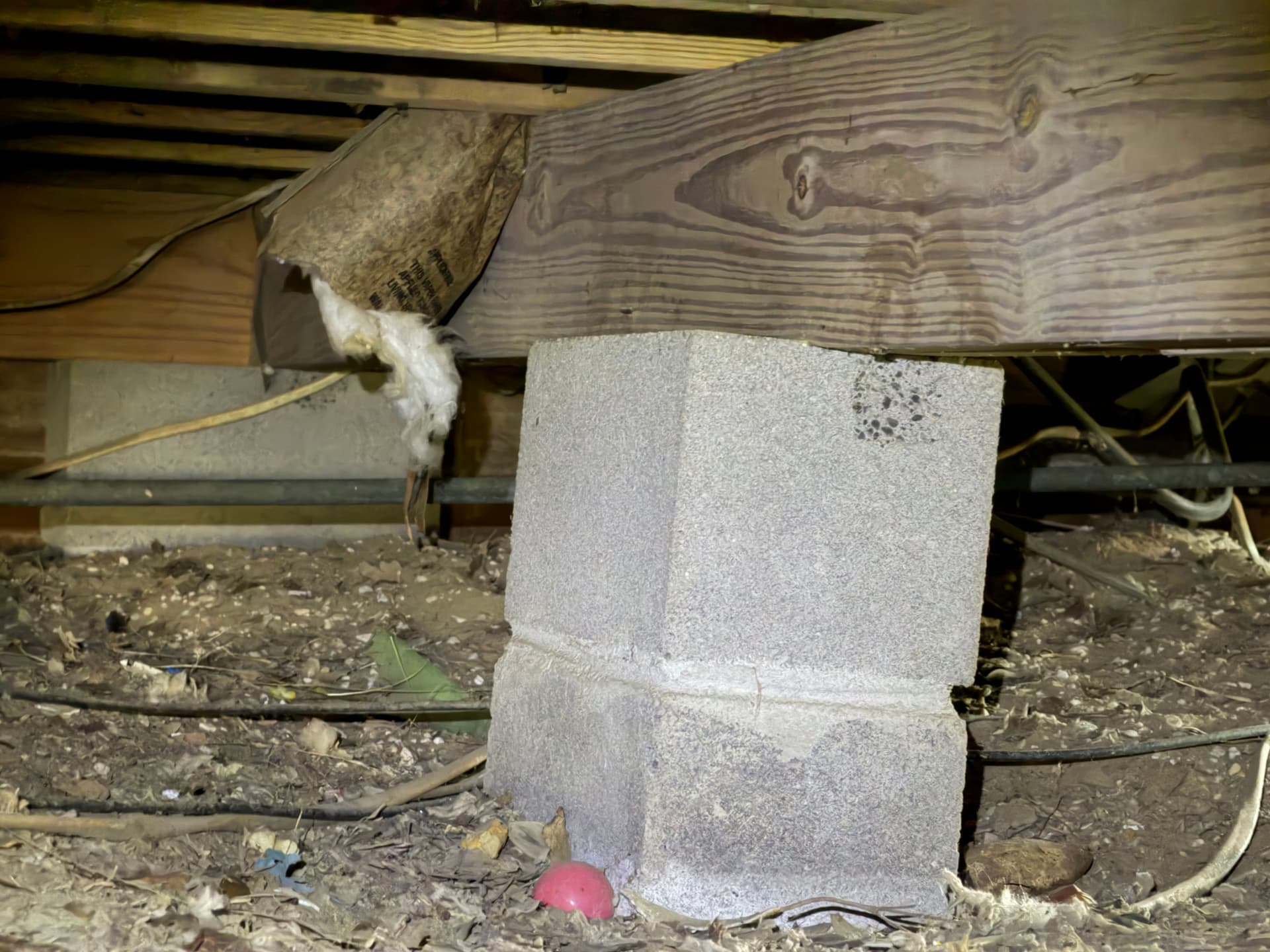 Gallery photos for Uncovering Crawl Space Challenges in Pensacola: Image #5