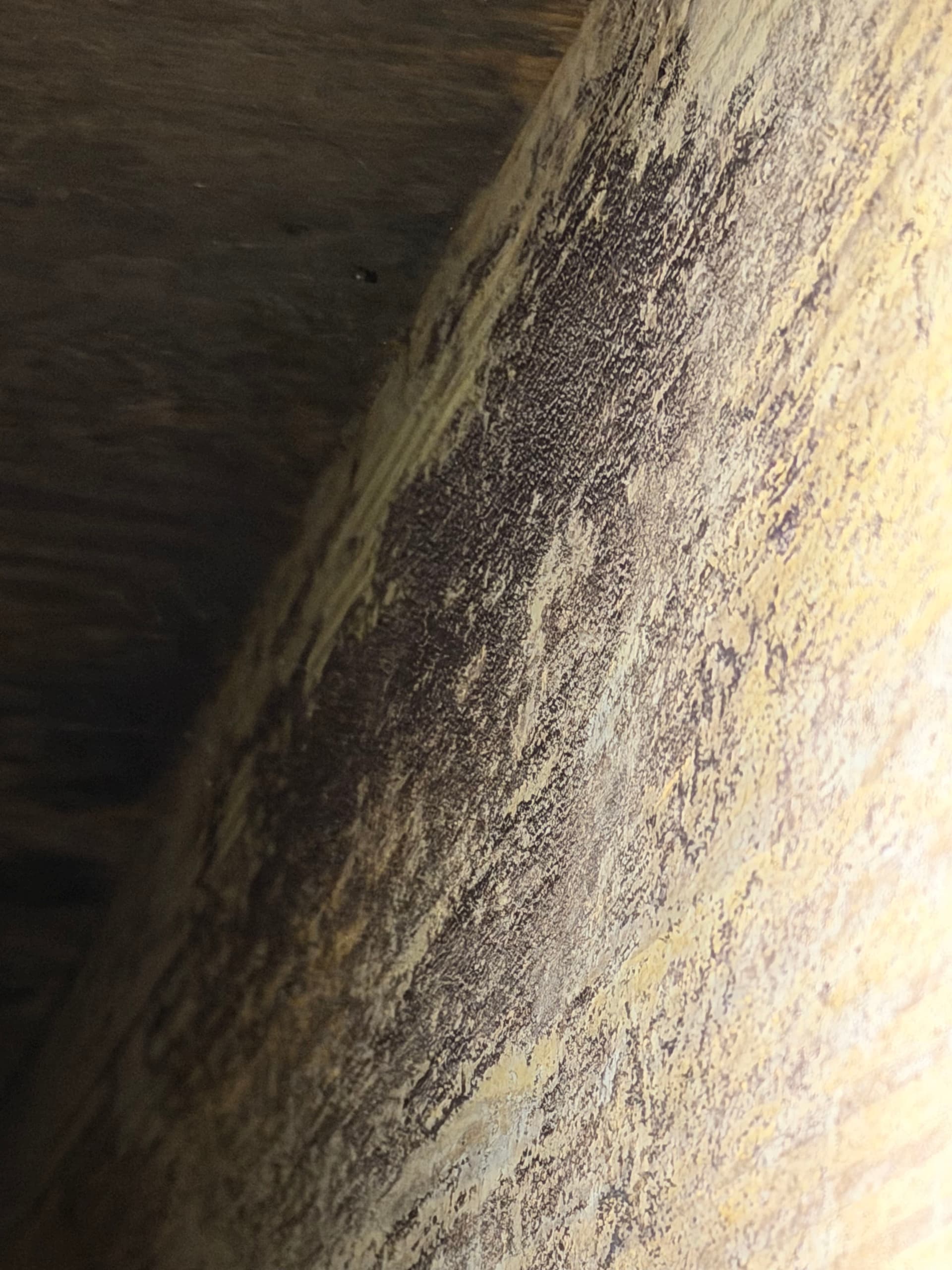 Gallery photos for Crawlspace Assessment Uncovers Serious Drainage and Fungus Issues in Tallahassee: Image #6