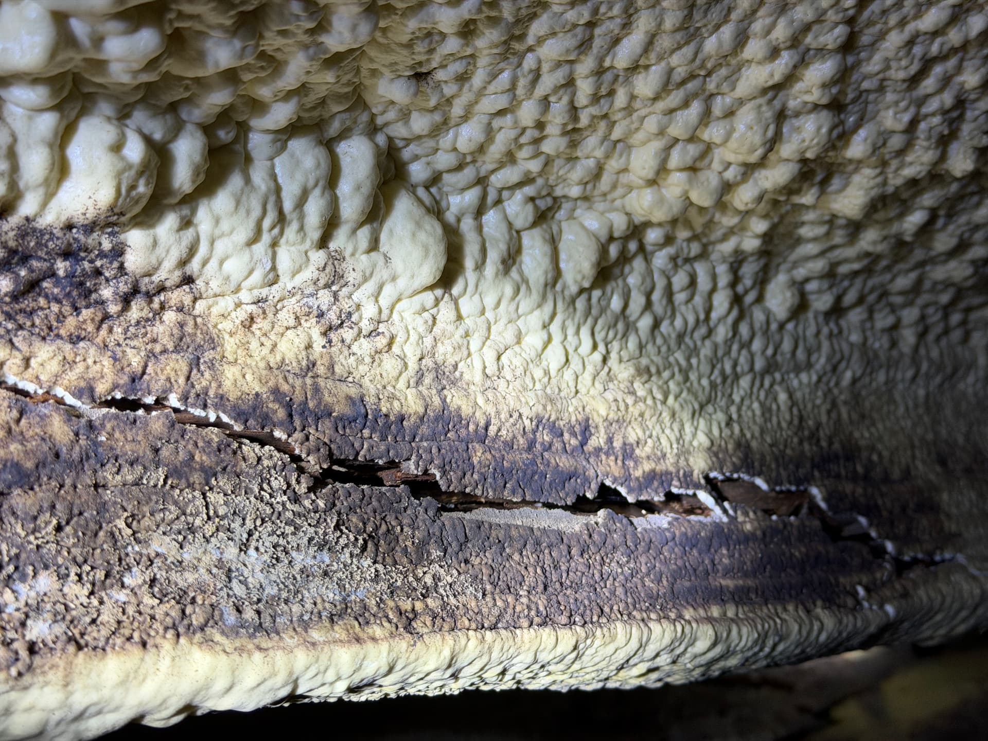 Gallery photos for The Dangers of Improper Crawl Space Insulation: Image #4