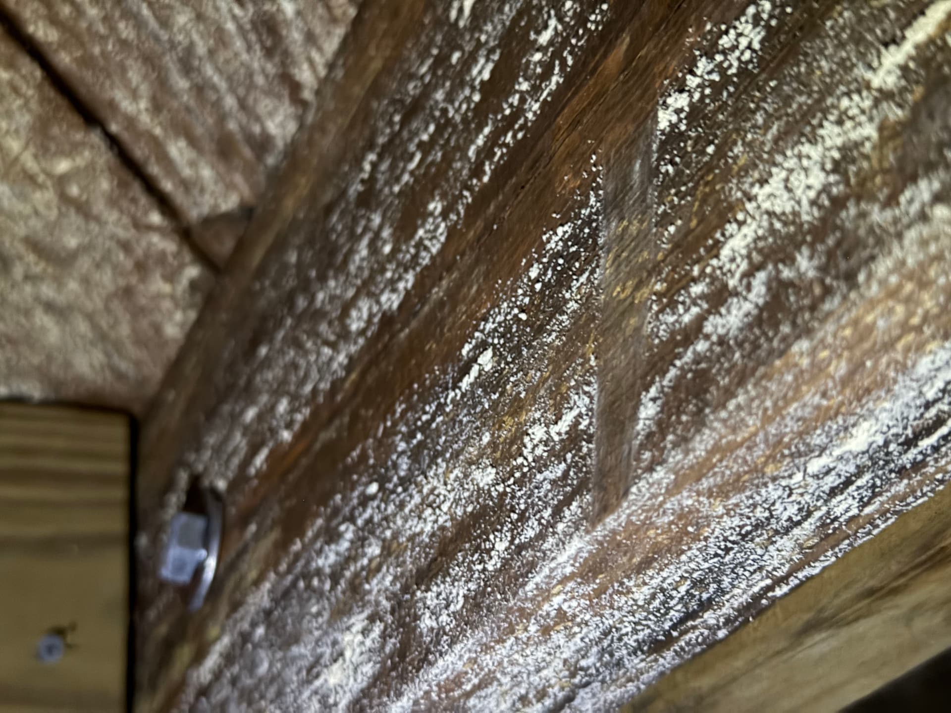 Gallery photos for A Pensacola Crawlspace Encapsulation Done Wrong - Here's the Damage: Image #4