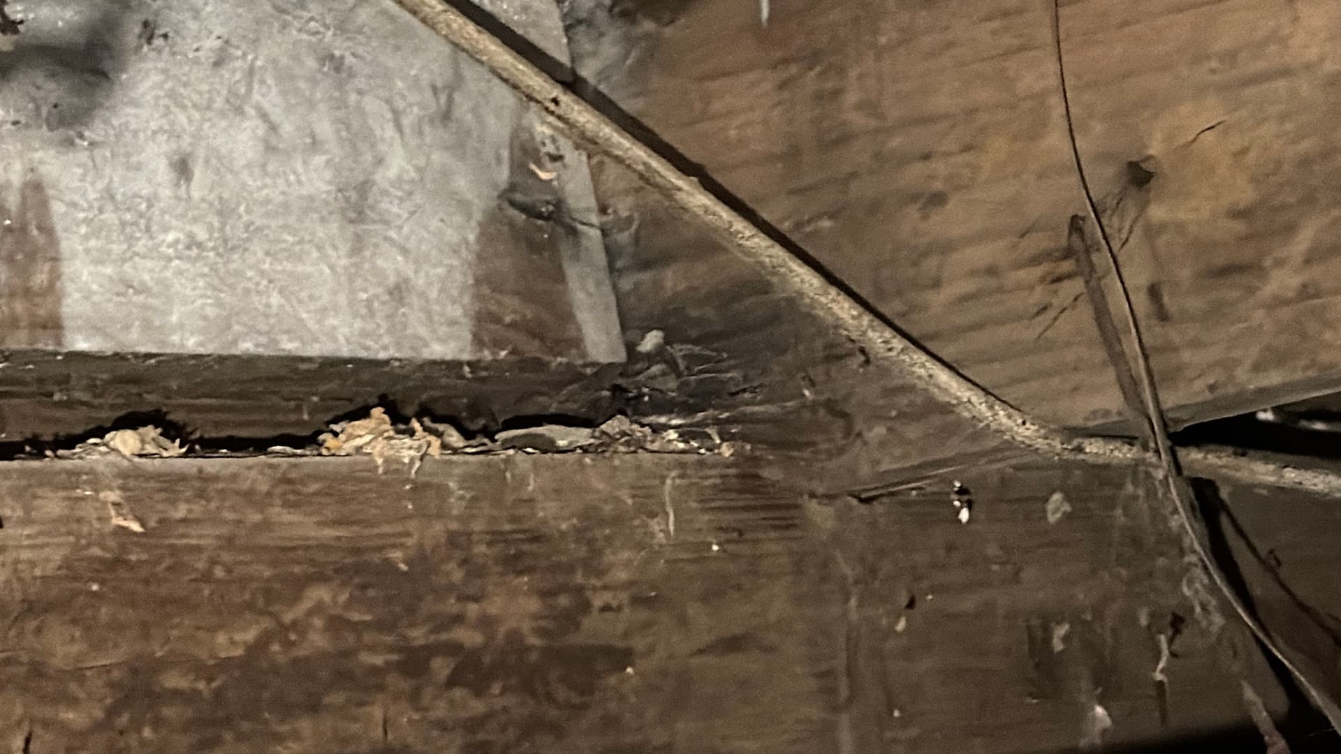 Gallery photos for Crawl Space Inspection Uncovers Major Issues in Irvington Alabama: Image #7