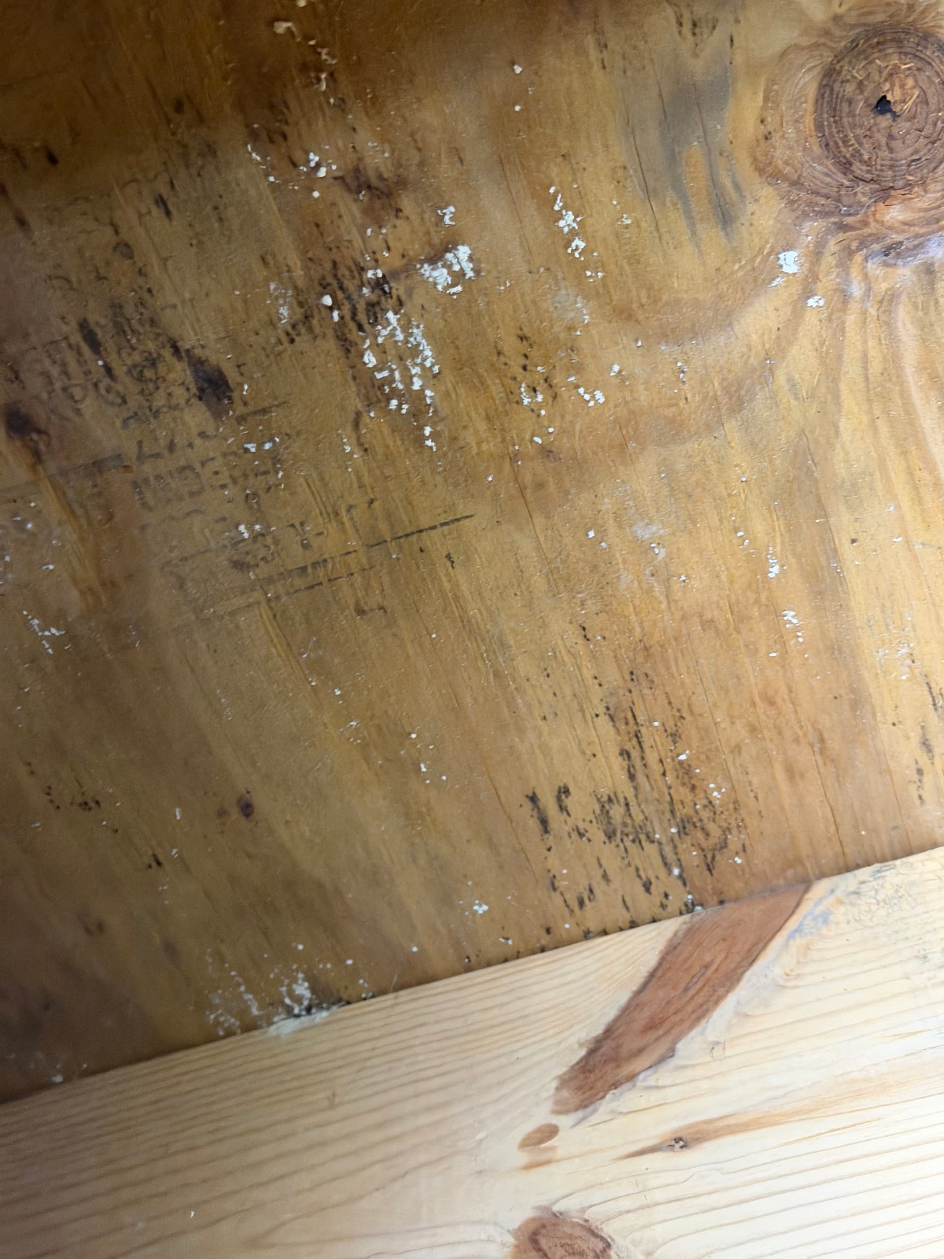 Gallery photos for Crawl Space Inspection in Montgomery: Image #8