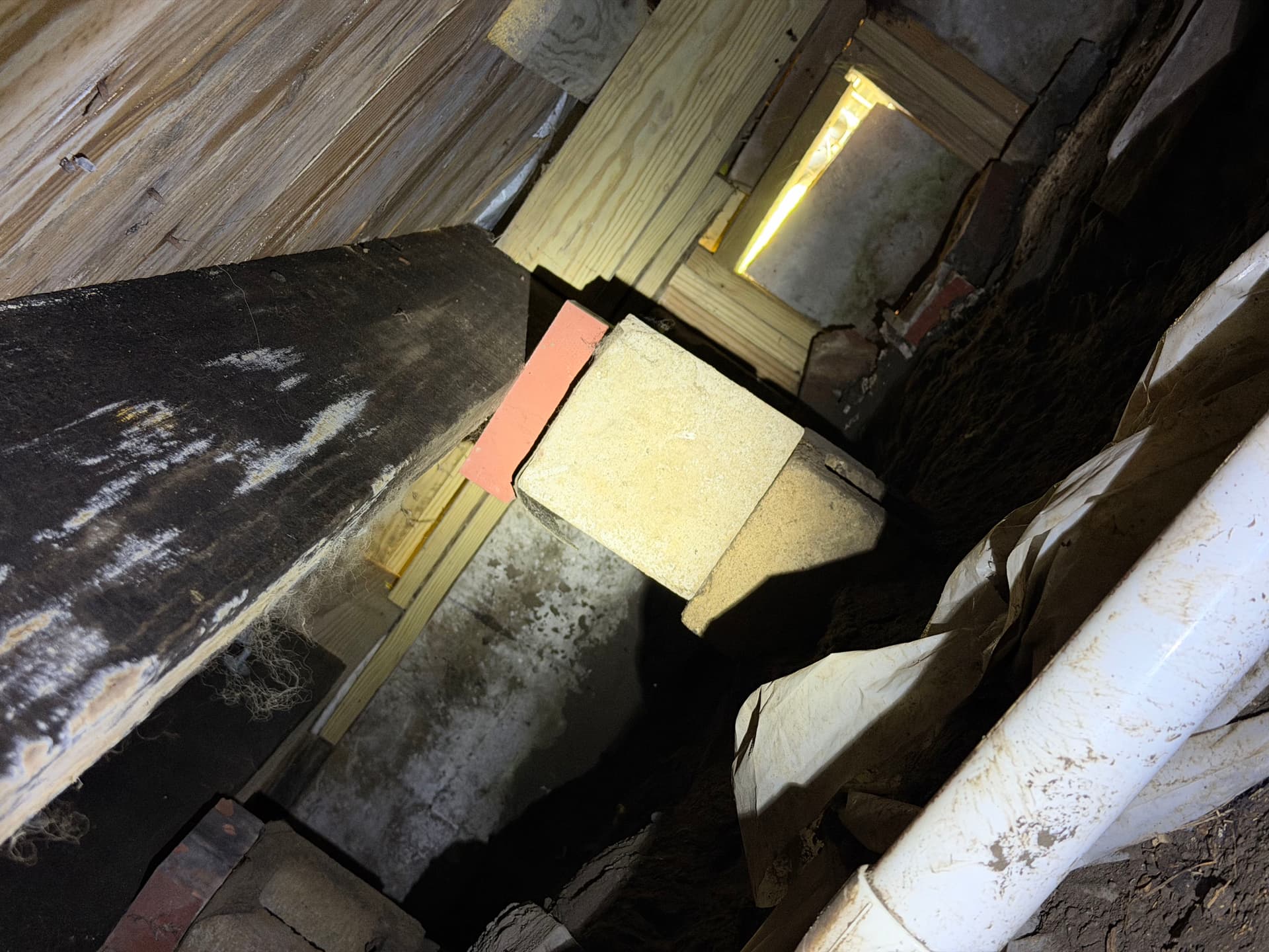 Gallery photos for What We Found Under a Lumberton Mississippi Home: Image #4