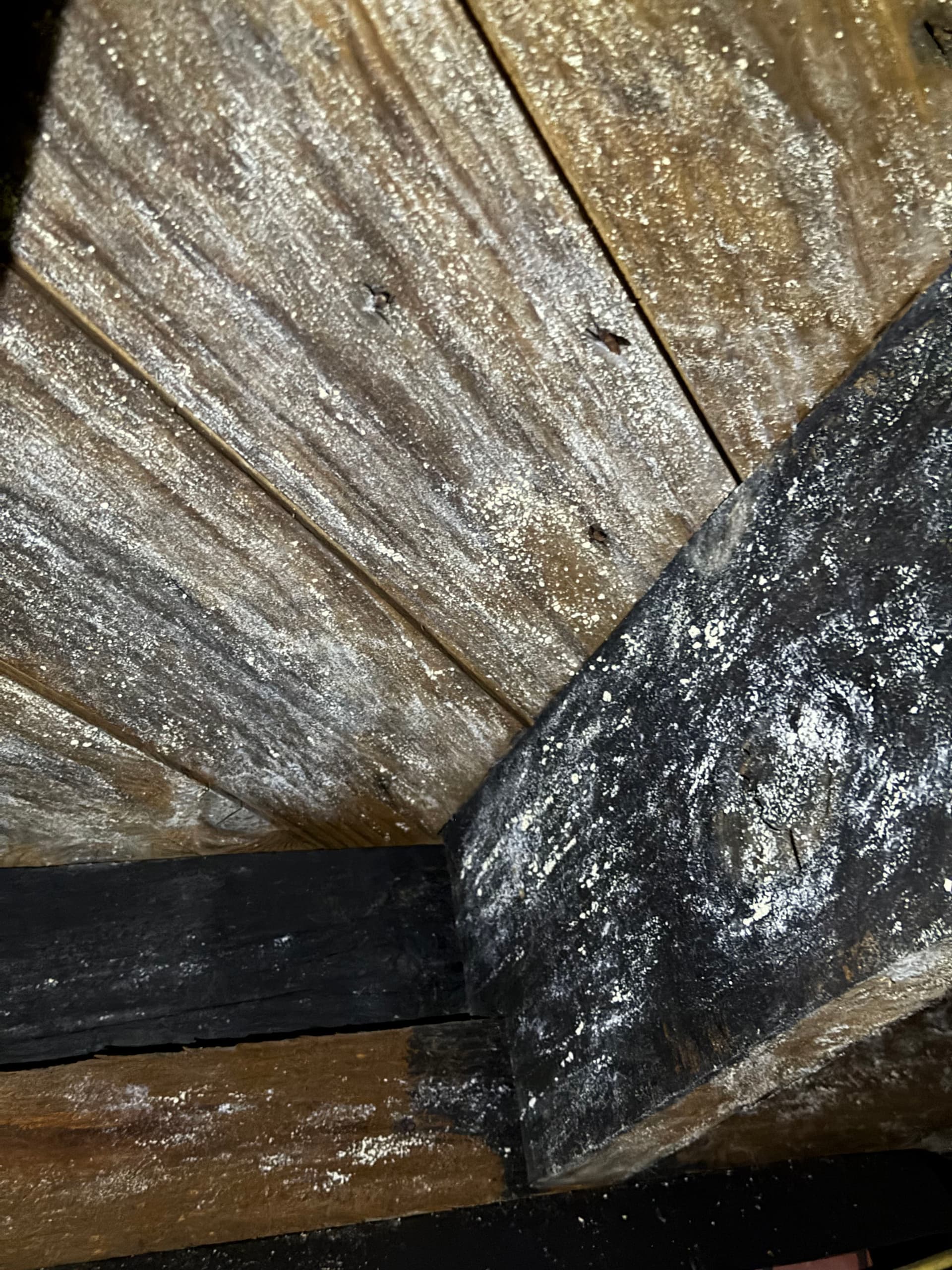 Gallery photos for A Pensacola Crawlspace Encapsulation Done Wrong - Here's the Damage: Image #3