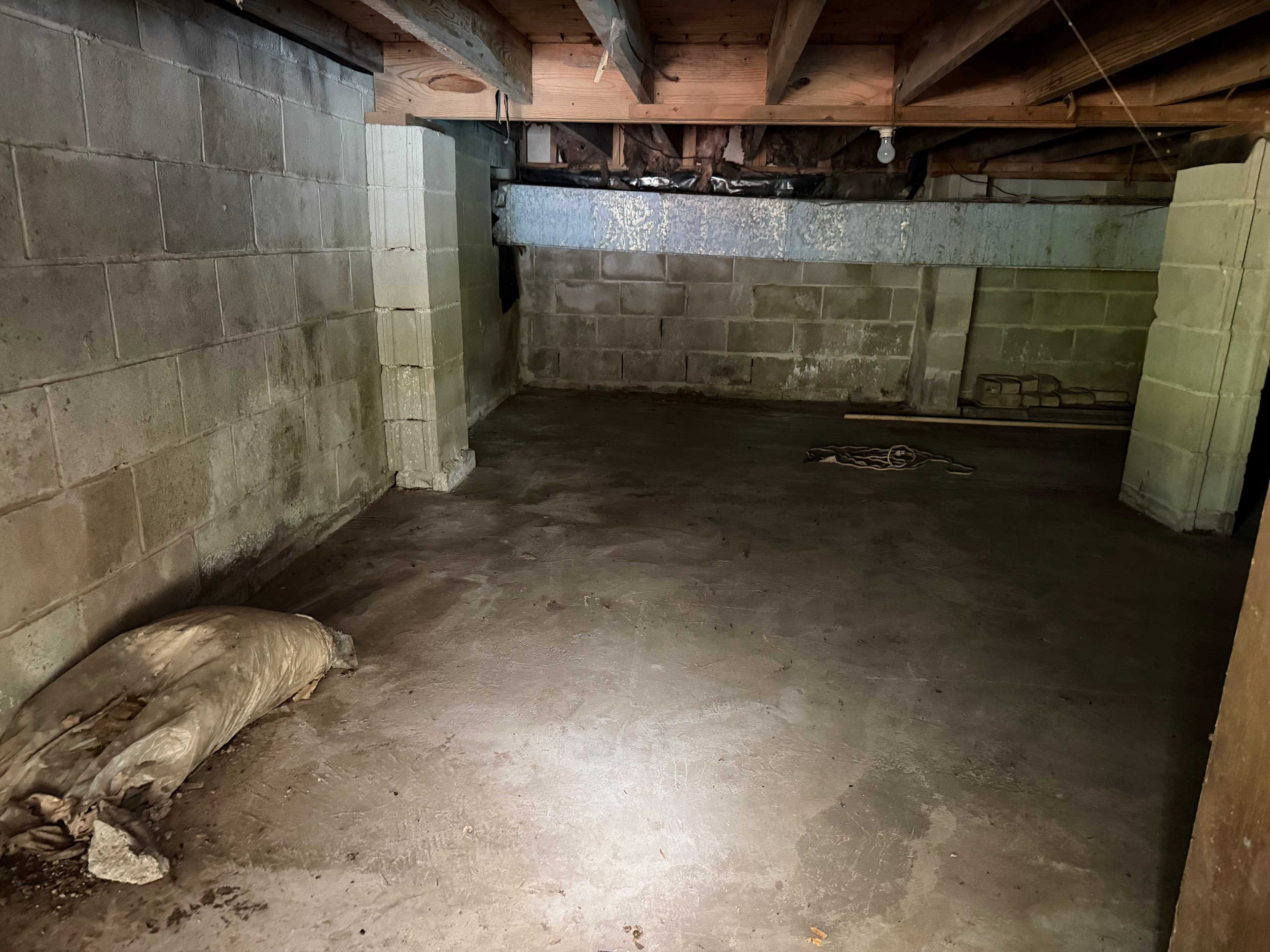 Project Crawl Space Moisture and Fungus Assessment in Cantonment Florida image