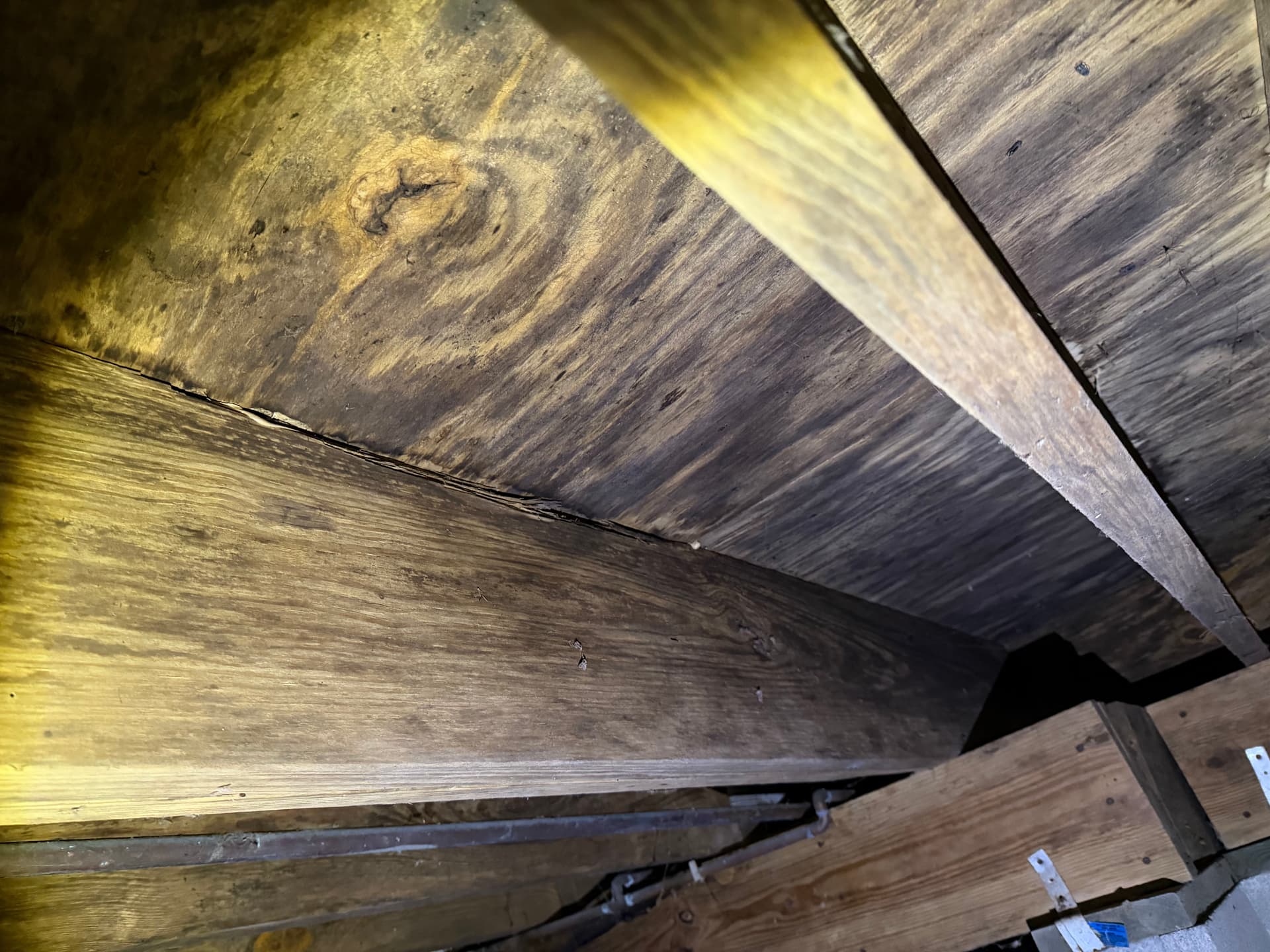 Gallery photos for What a Crawl Space Inspection Found Under a Daphne Home: Image #5