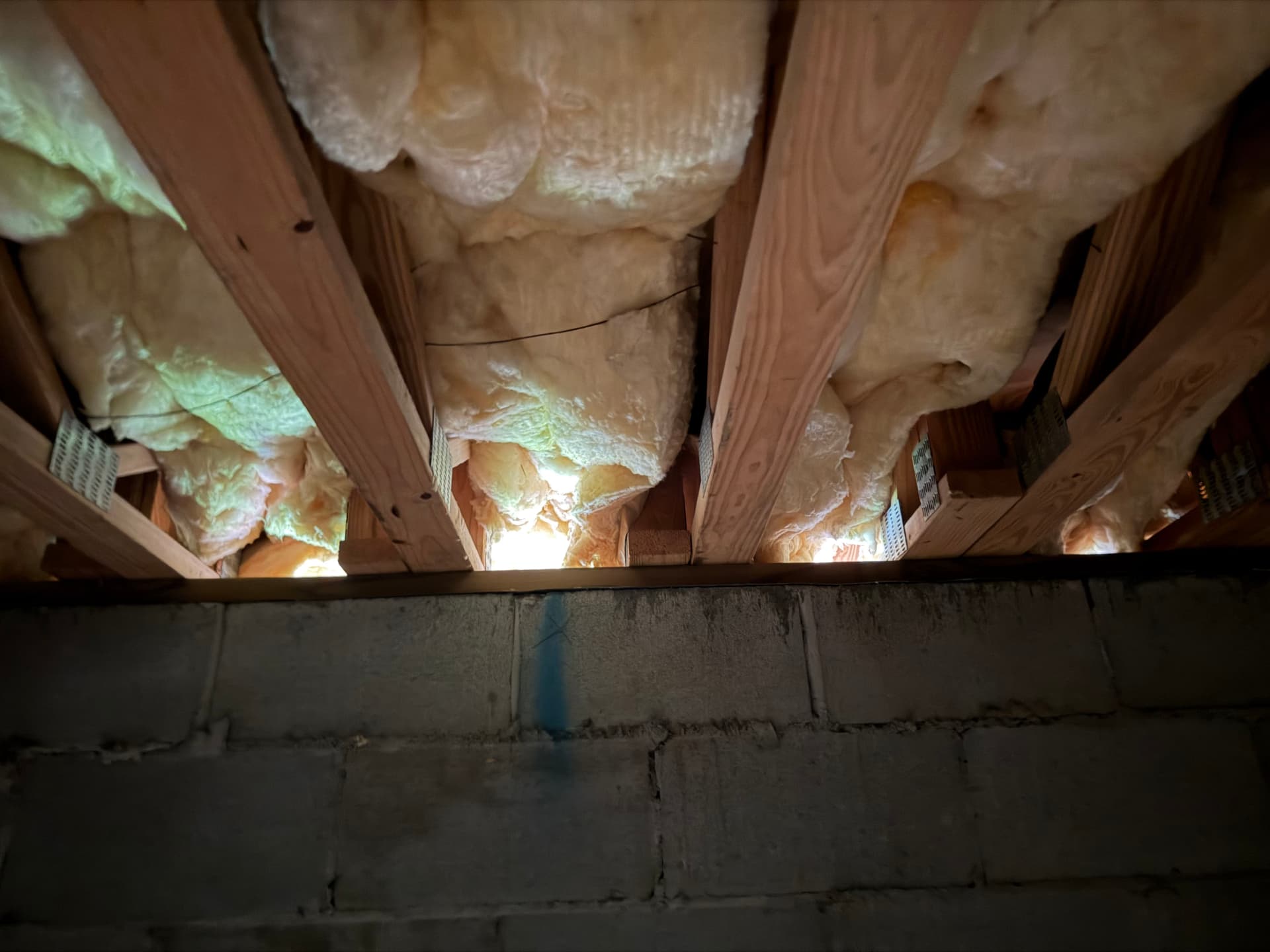 Gallery photos for 1,400 Miles of Crawlspace Assessments Across the Gulf Coast: Image #1