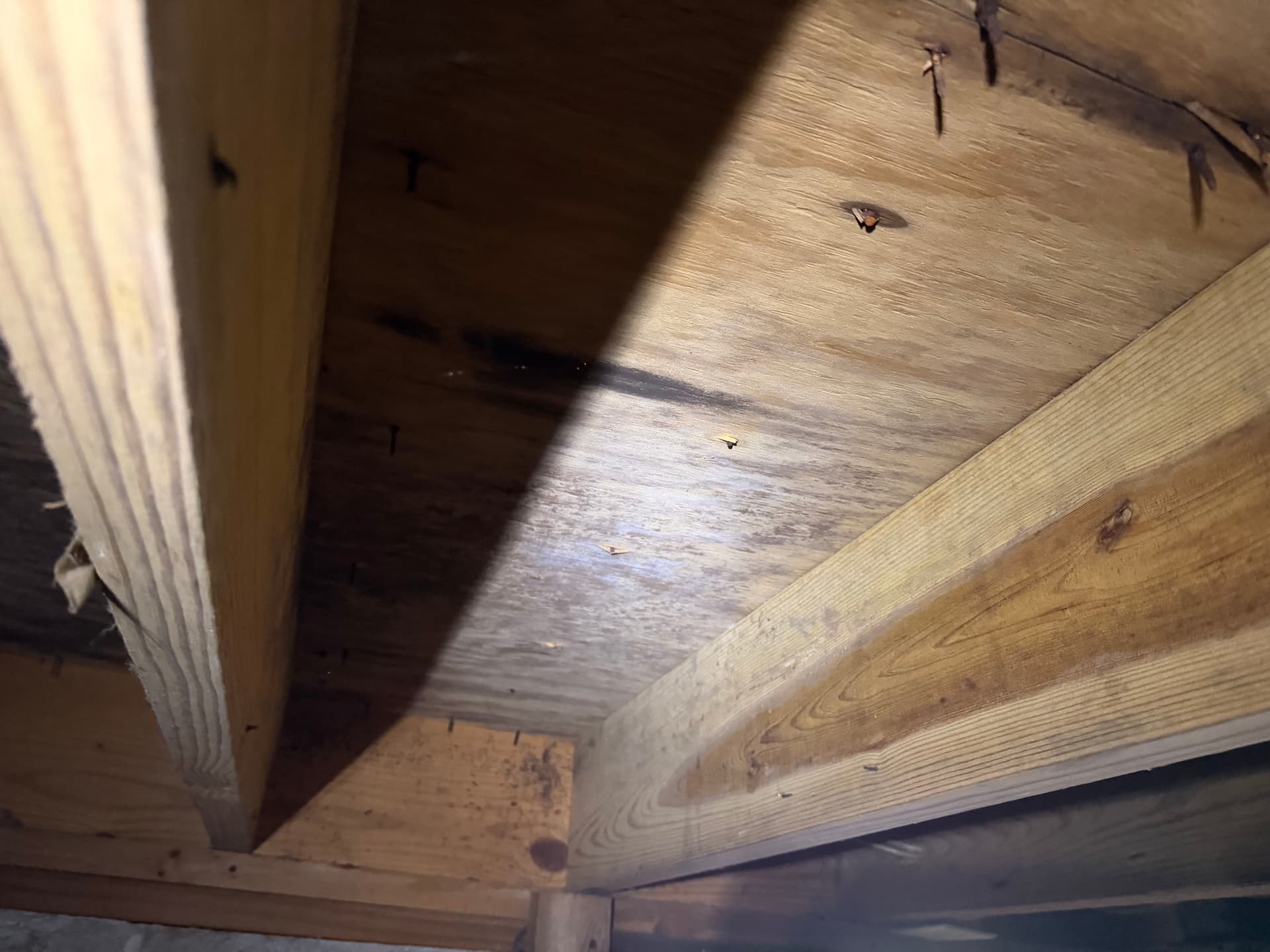 Gallery photos for Crawl Space Moisture and Fungus Assessment in Cantonment Florida: Image #8