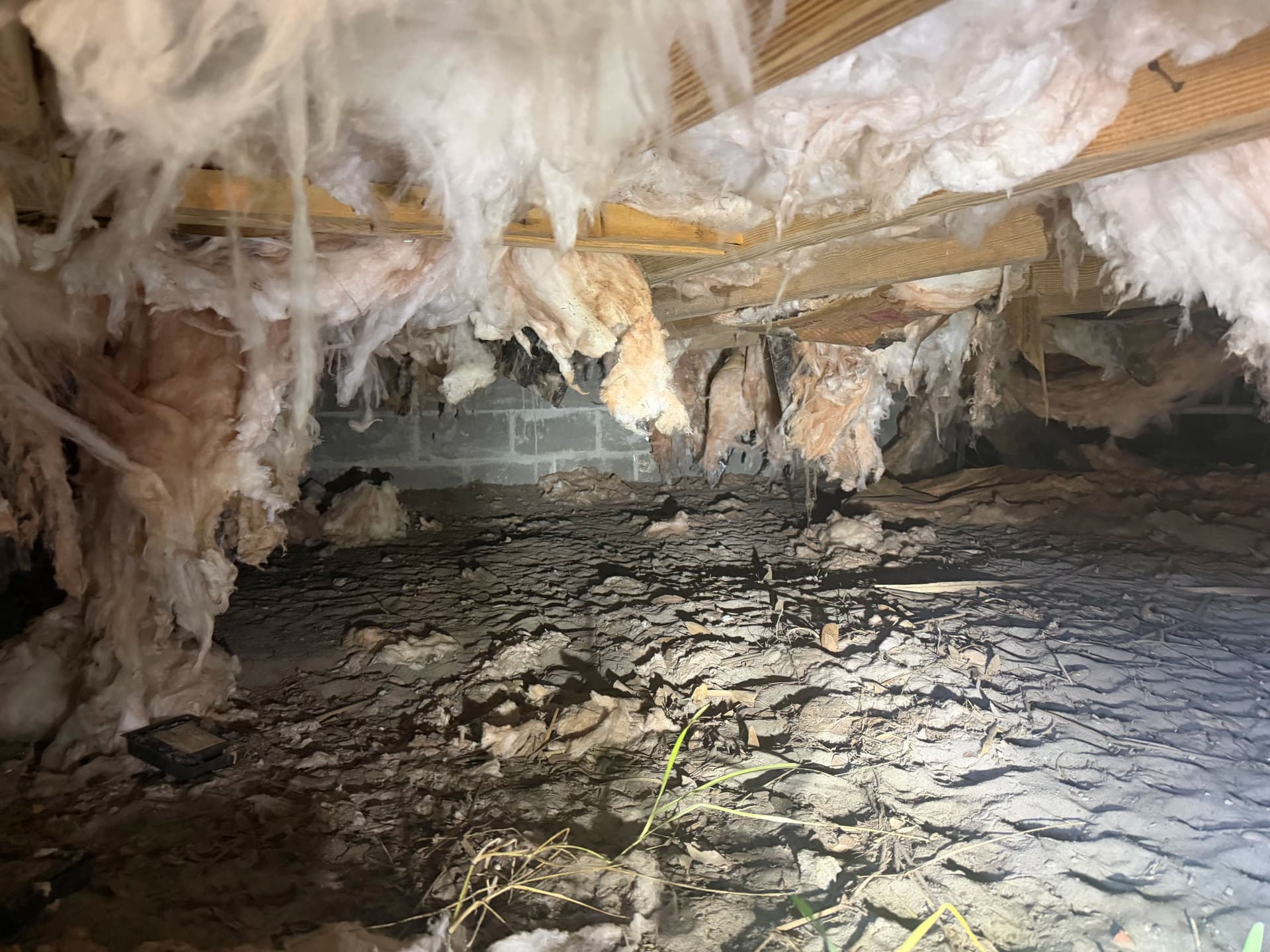 Gallery photos for Crawl Space Encapsulation Done Right in Perdido Florida: Image #9