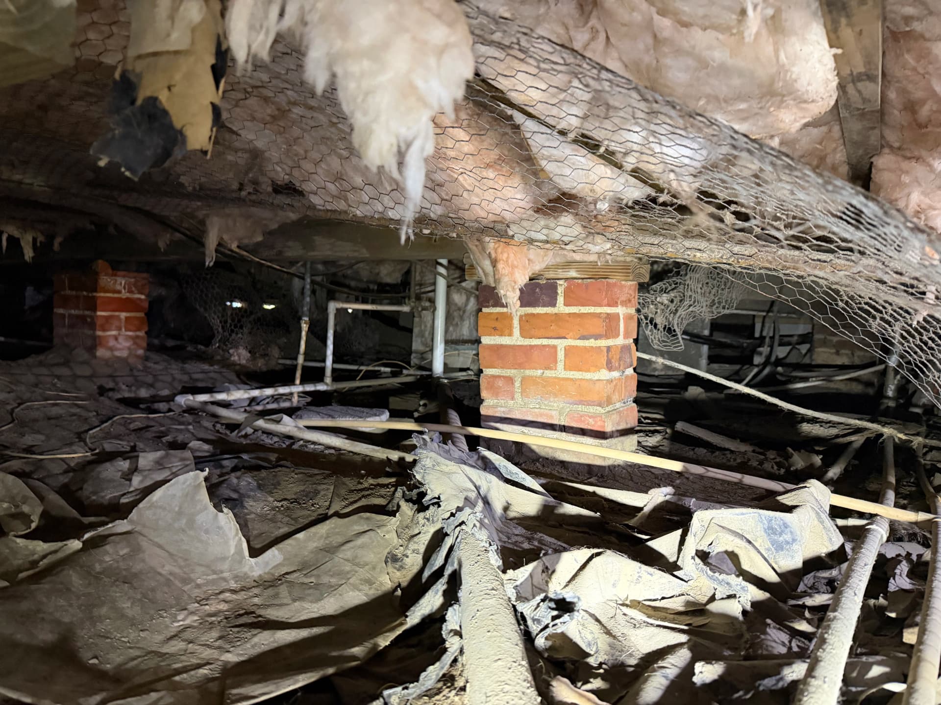 Gallery photos for What Gulf Coast Crawl Space Assessments Actually Reveal: Image #4