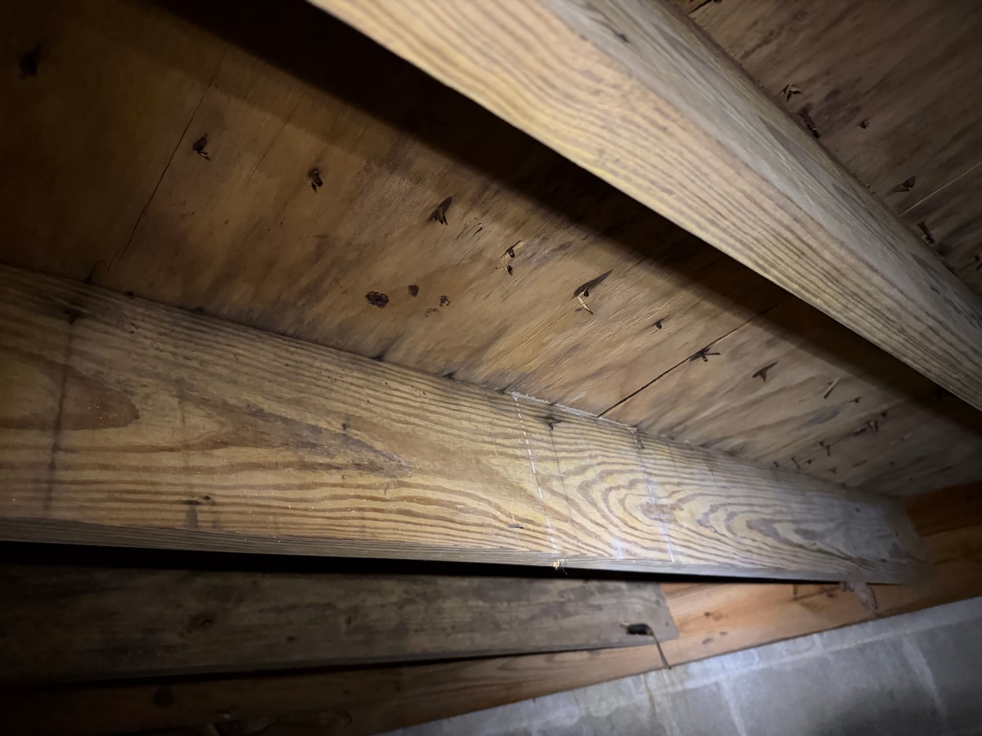 Gallery photos for Crawl Space Moisture and Fungus Assessment in Cantonment Florida: Image #5