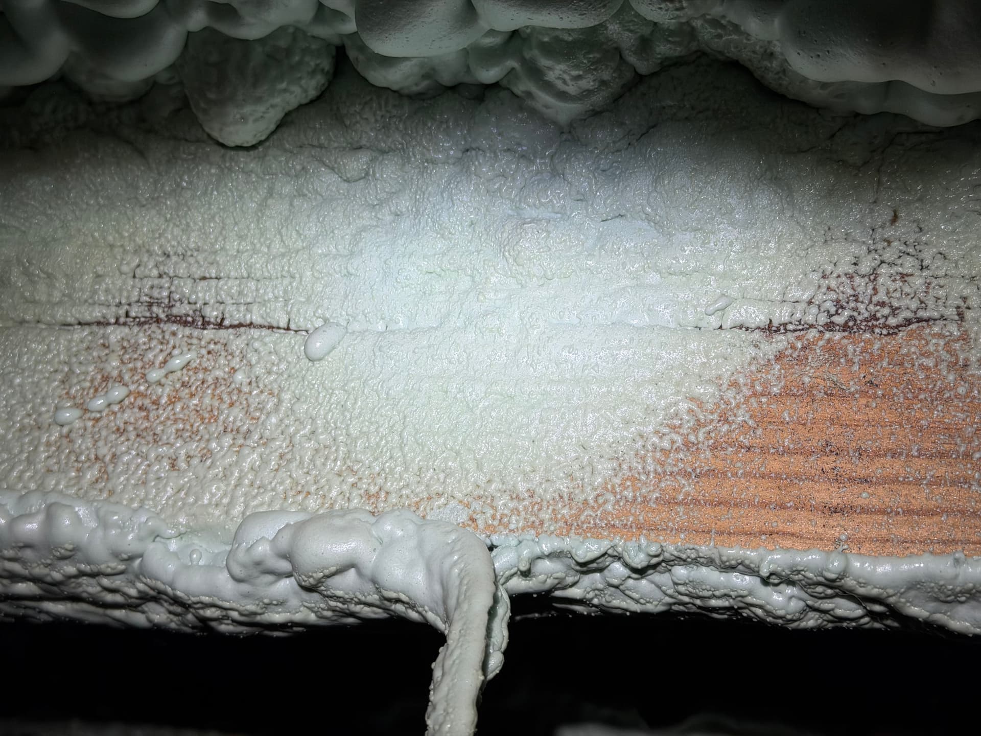 Gallery photos for Why Spray Foam on Your Floor Joists Is a Crawl Space Mistake: Image #1