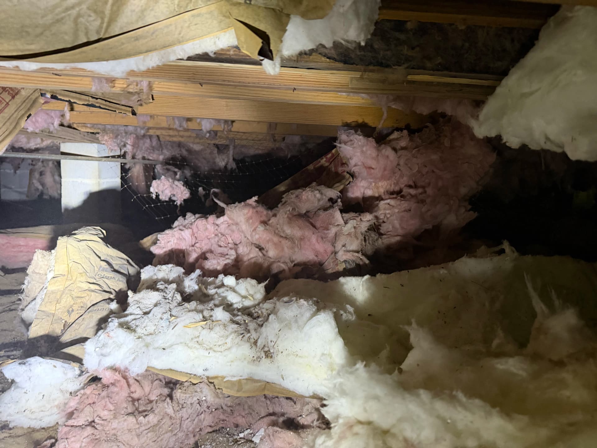 Gallery photos for Crawl Space Encapsulation Done Right in Pensacola: Image #3