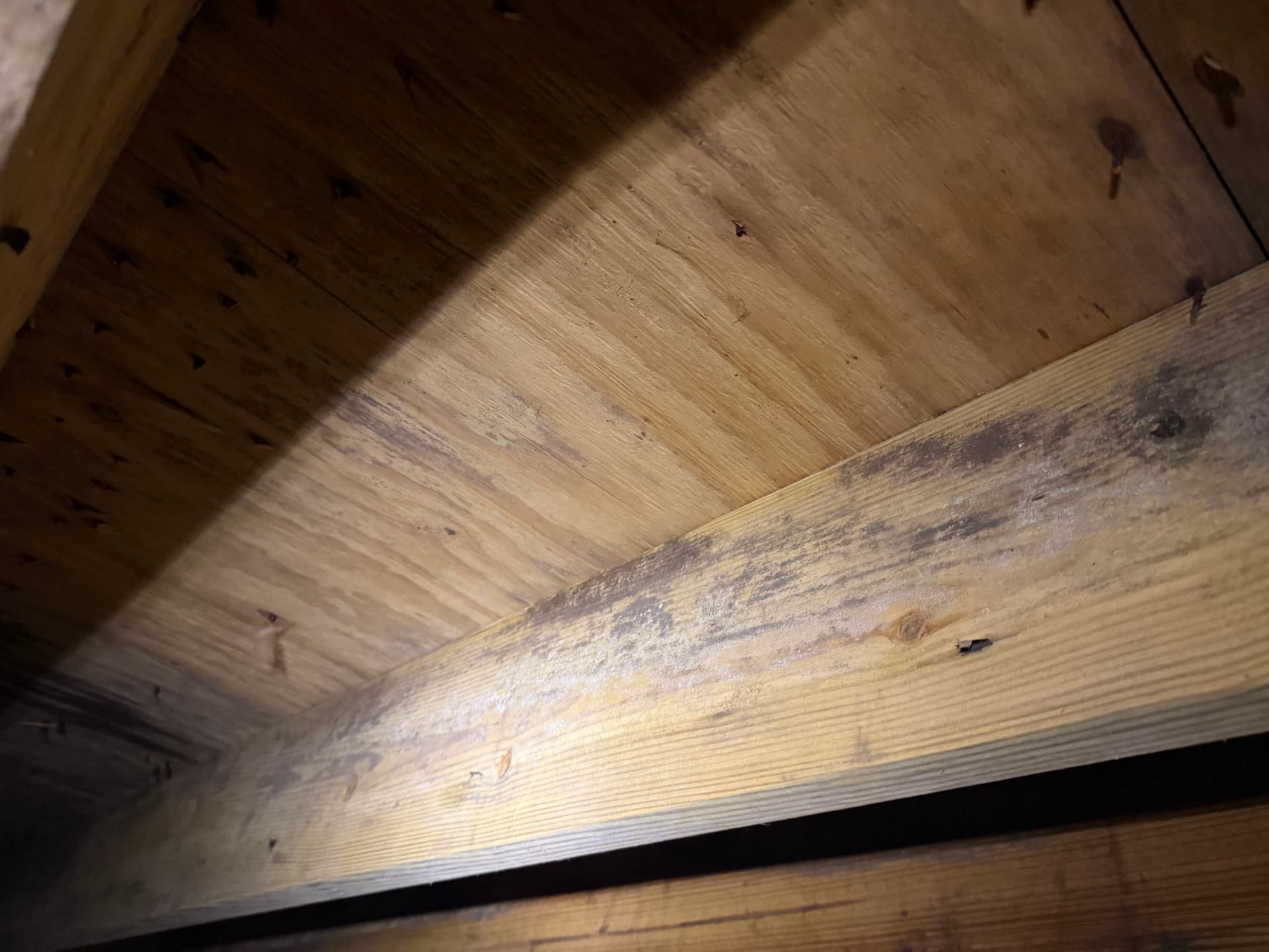 Gallery photos for Crawl Space Moisture and Fungus Assessment in Cantonment Florida: Image #4