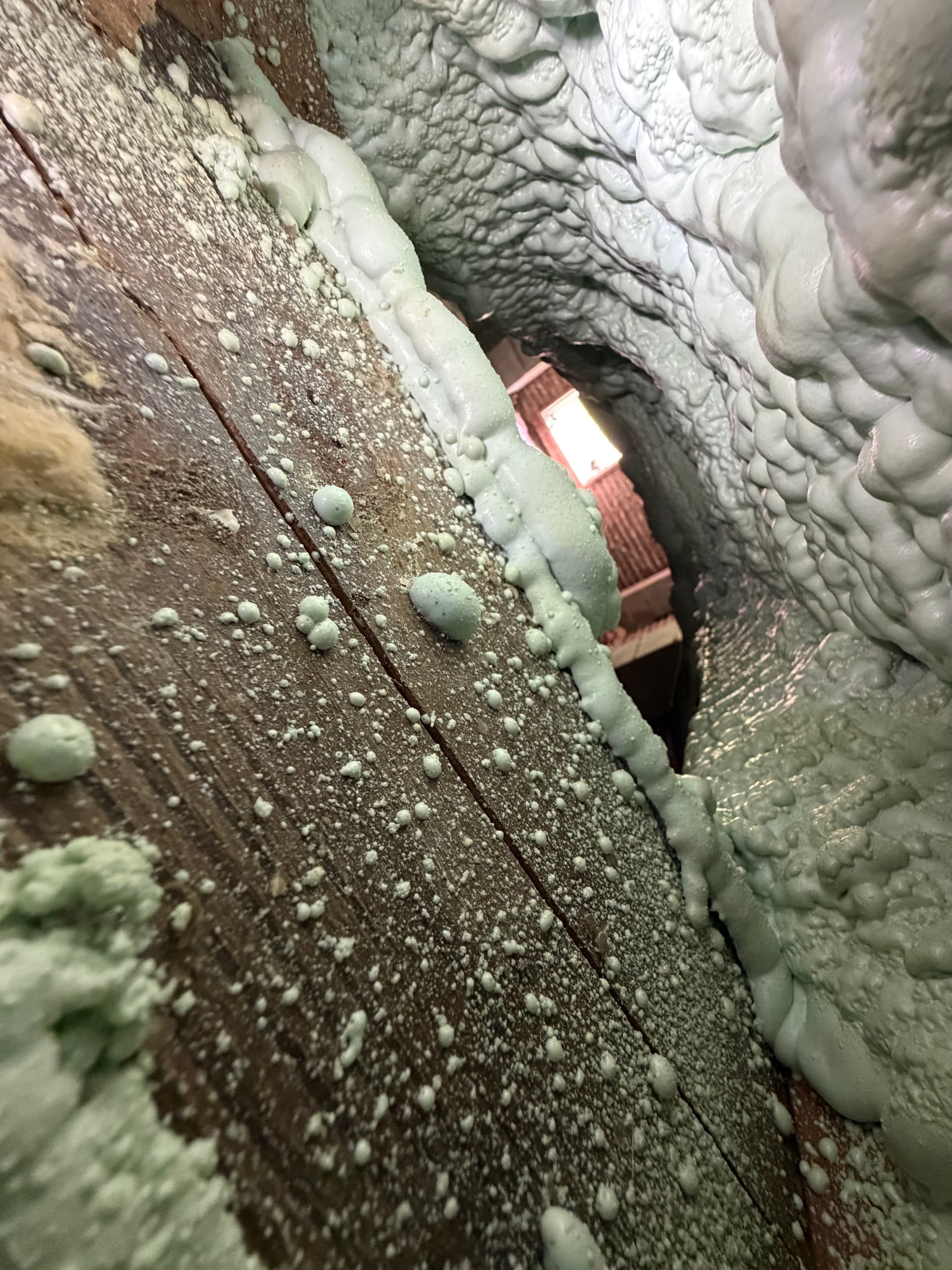 Gallery photos for Why Spray Foam on Your Floor Joists Is a Crawl Space Mistake: Image #2