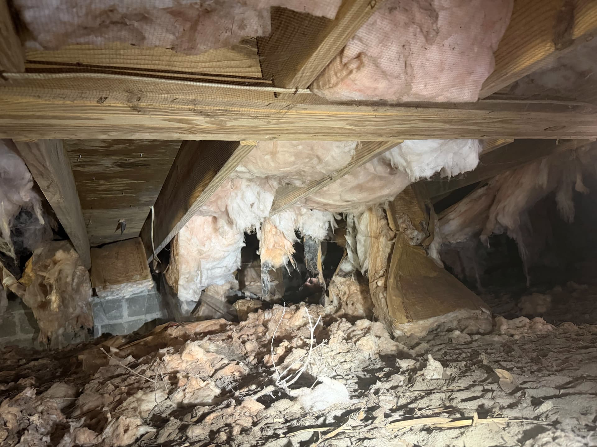 Gallery photos for Crawl Space Encapsulation Done Right in Perdido Florida: Image #6