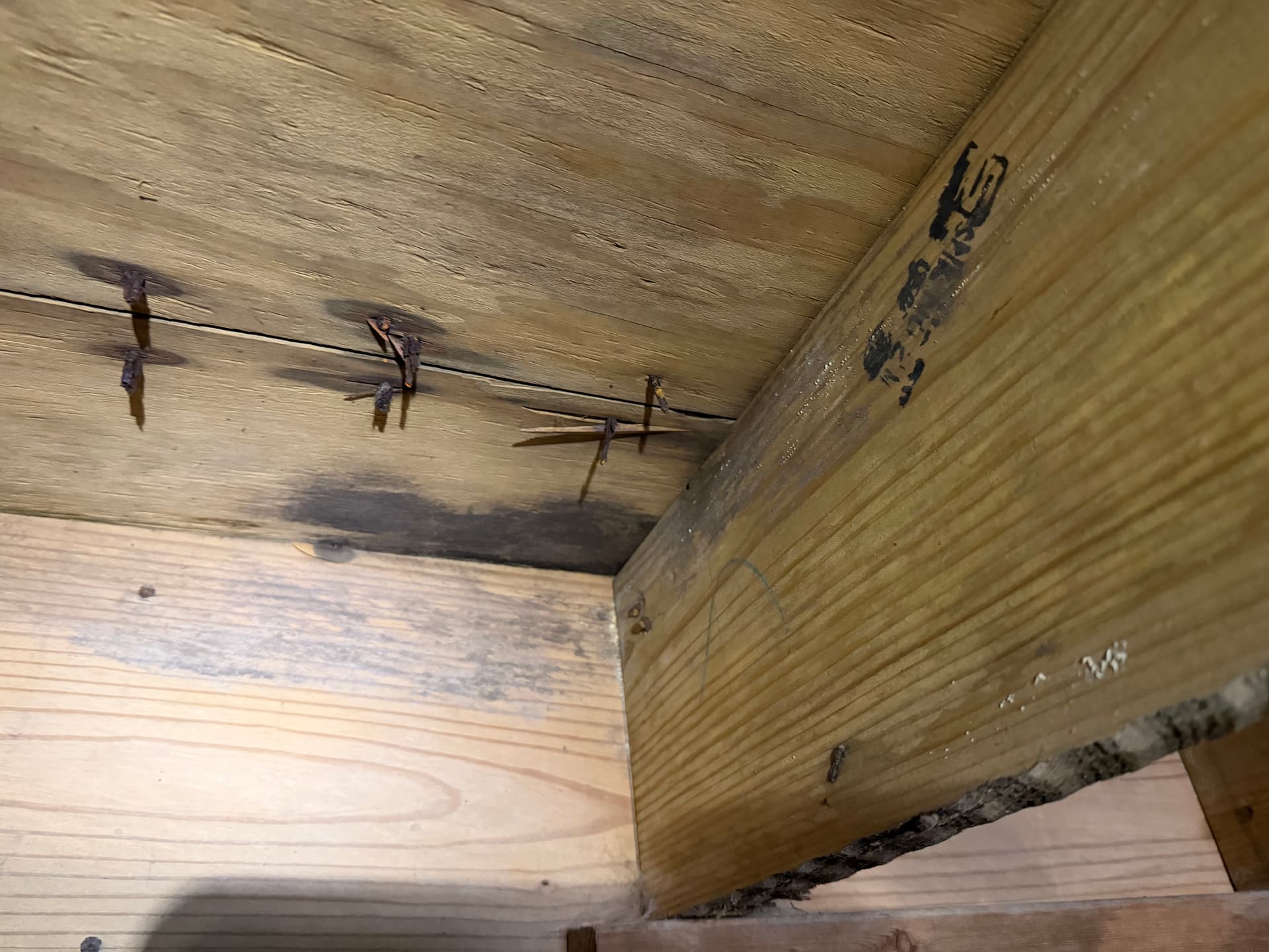 Gallery photos for Crawl Space Moisture and Fungus Assessment in Cantonment Florida: Image #9