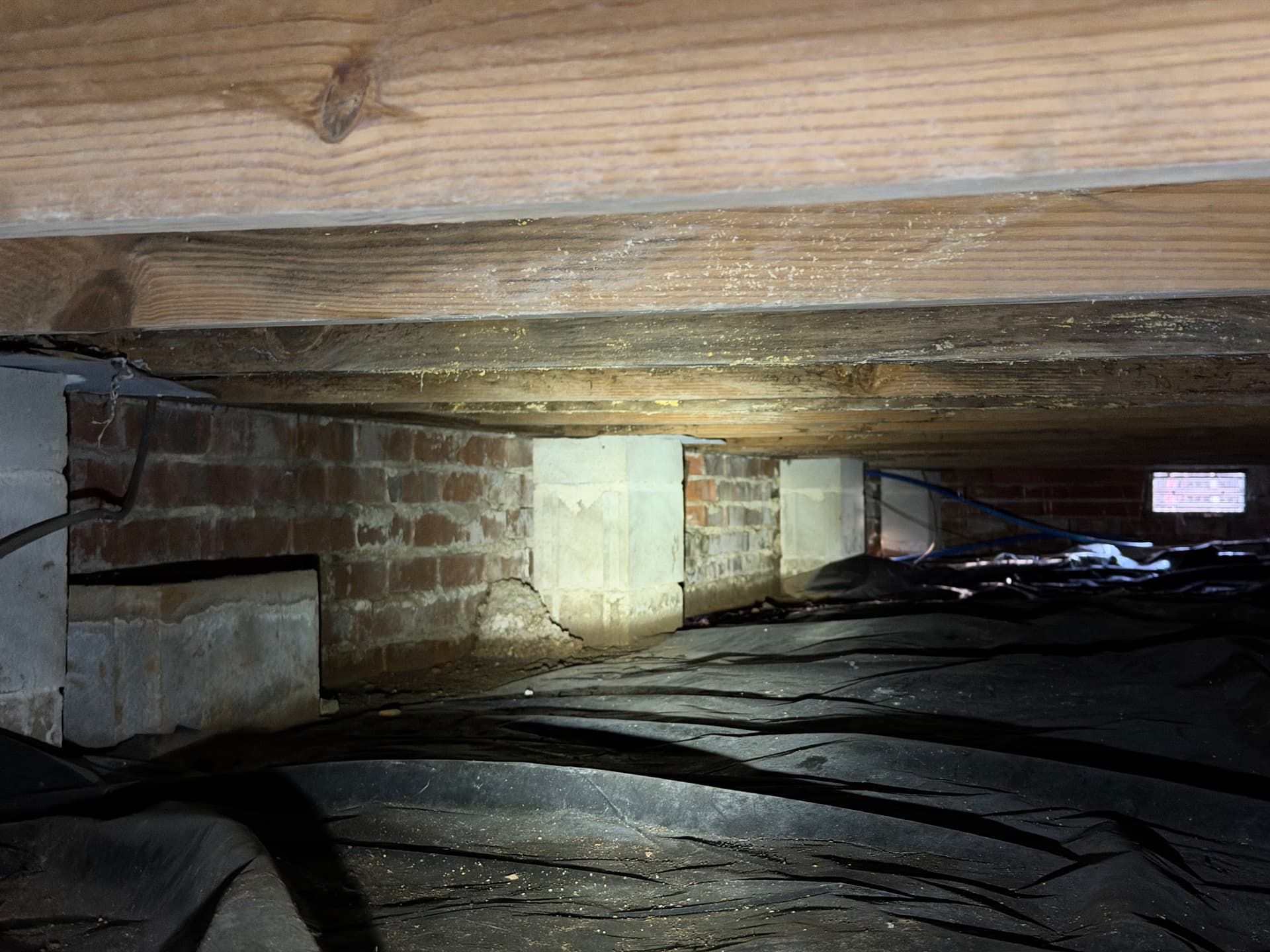 Gallery photos for Fighting Crawl Space Fungus in the Gulf Coast: Image #1