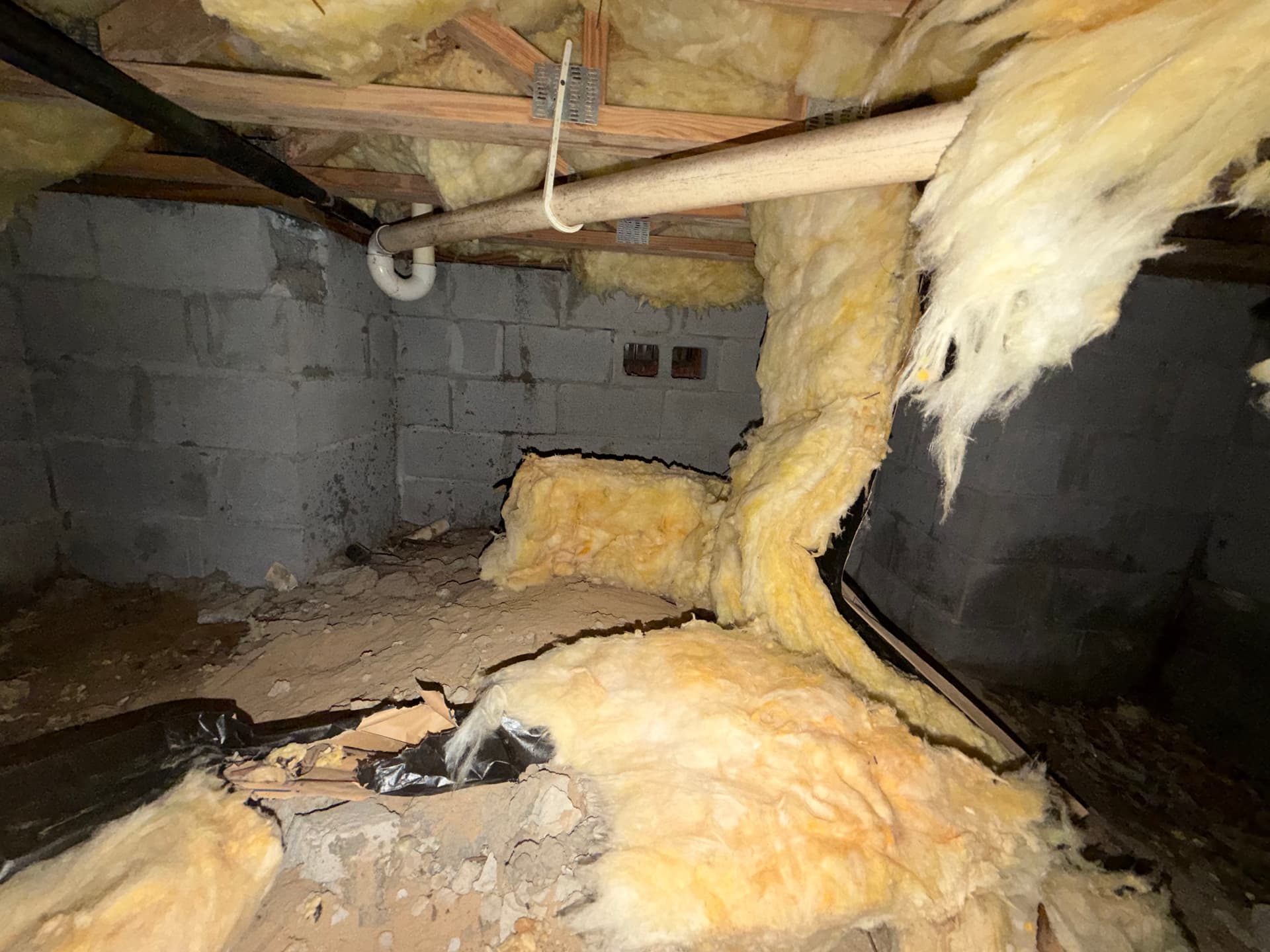 1,400 Miles of Crawlspace Assessments Across the Gulf Coast image
